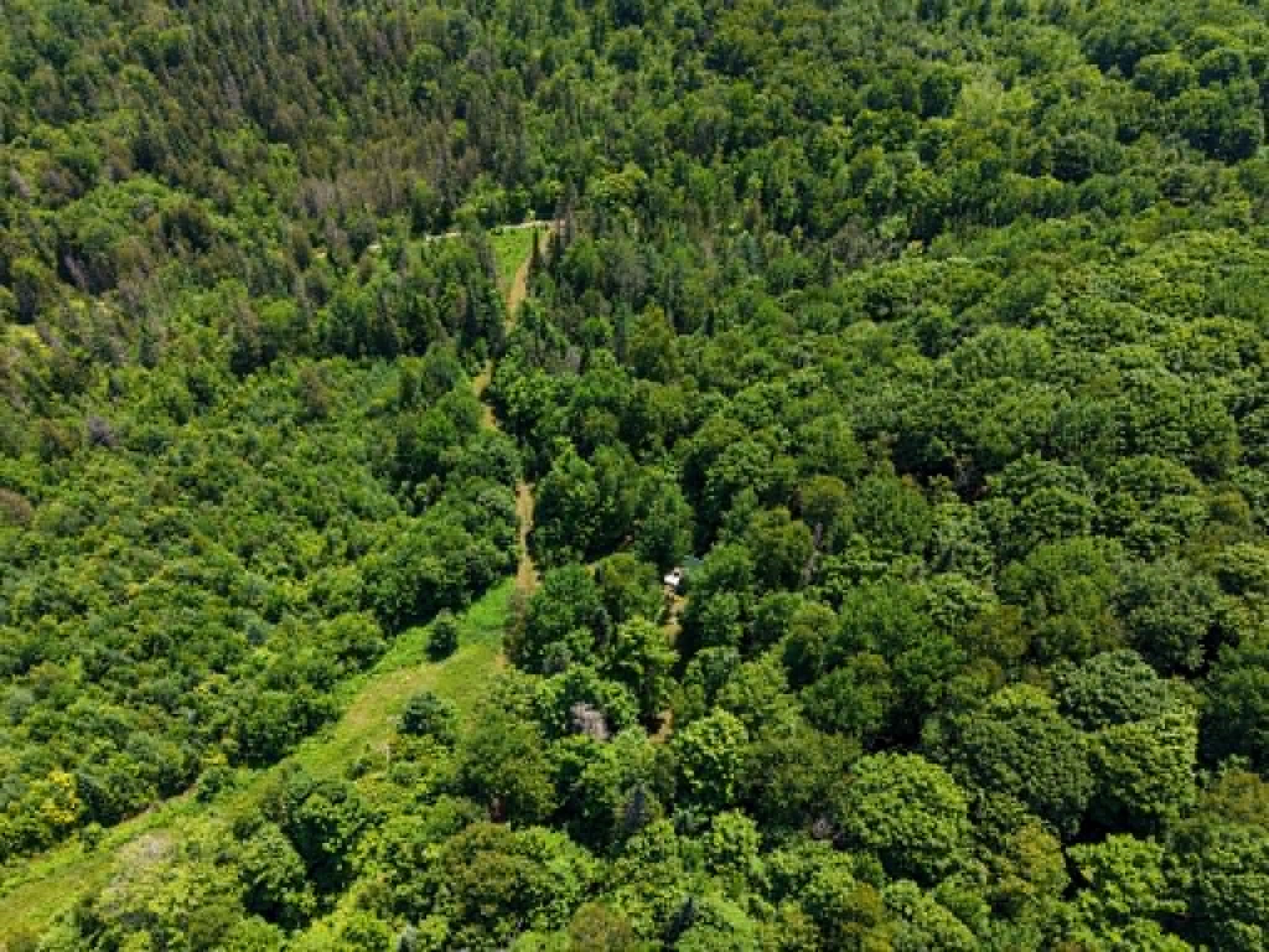  801 Red Schoolhouse Road - 物件實景