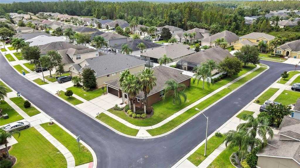 Wesley Chapel, Florida, 33543, United States, 4 Bedrooms Bedrooms, ,2 BathroomsBathrooms,Residential,For Sale,1943150
