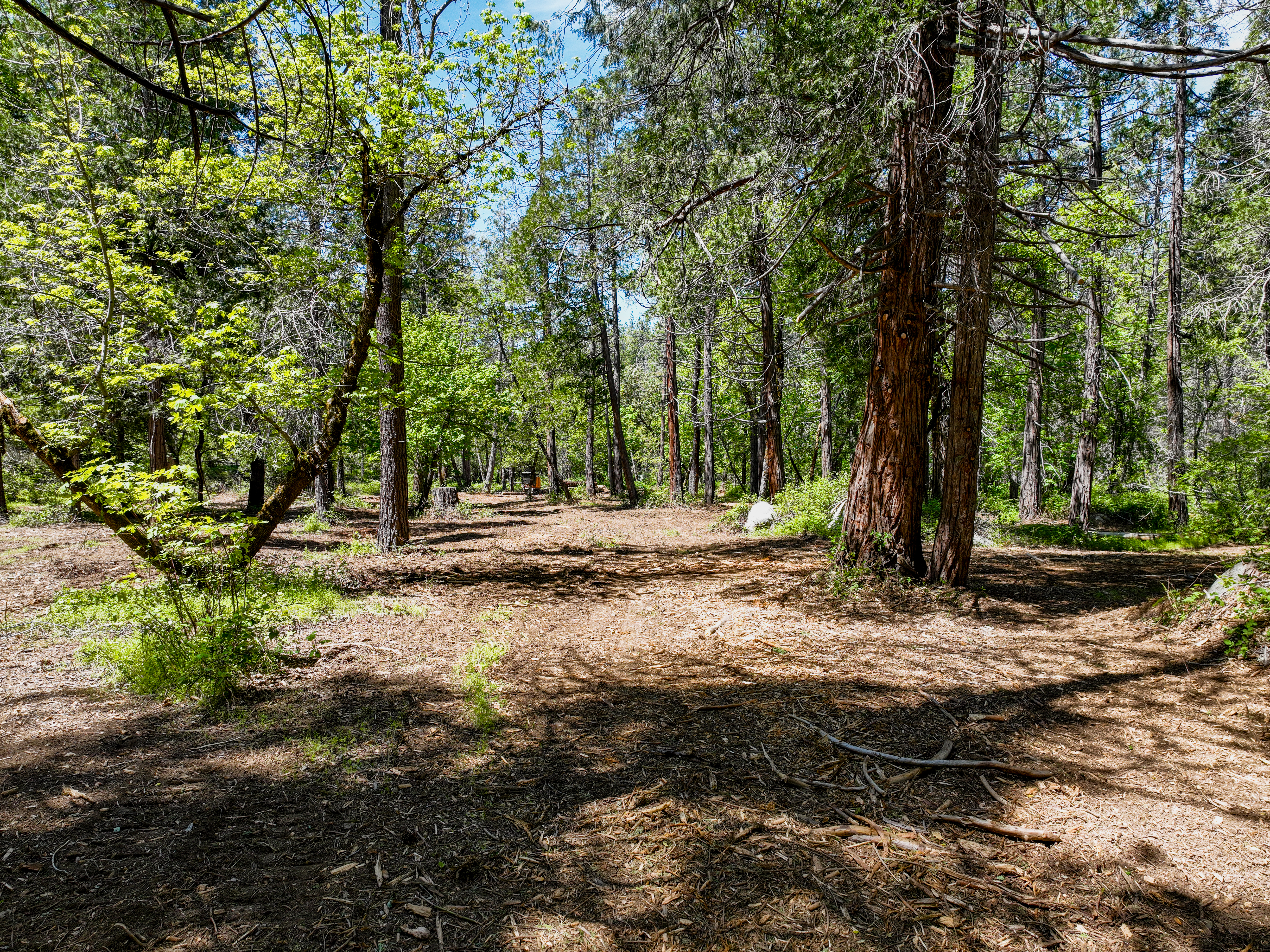  20493 Rector Road, Nevada City, CA 95959 - 物件實景