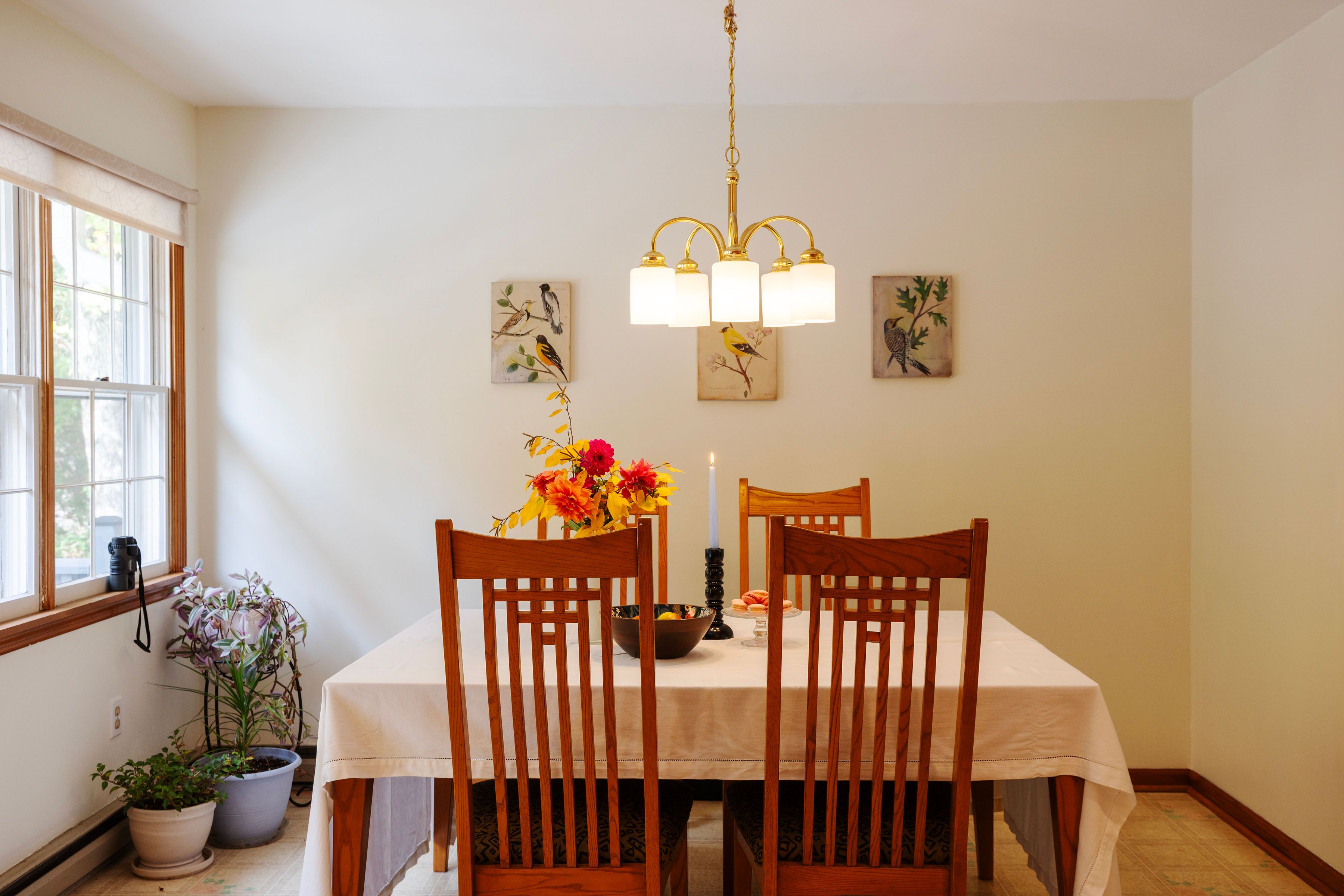  7 Birch Street, West Hurley, NY 12491 - 物件實景