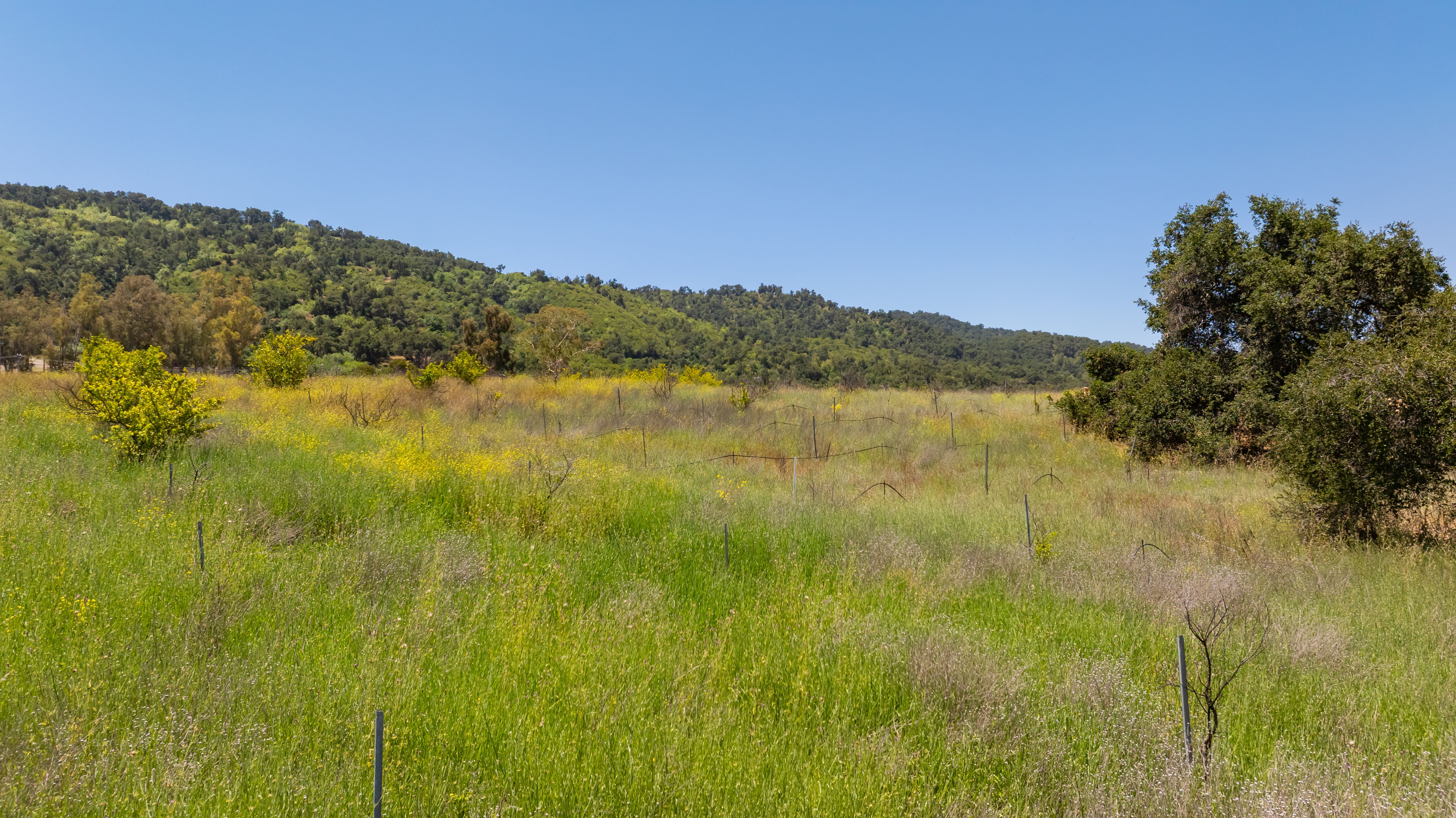  12400 Ojai Santa Paula Road, Ojai, CA 93023 - 物件實景