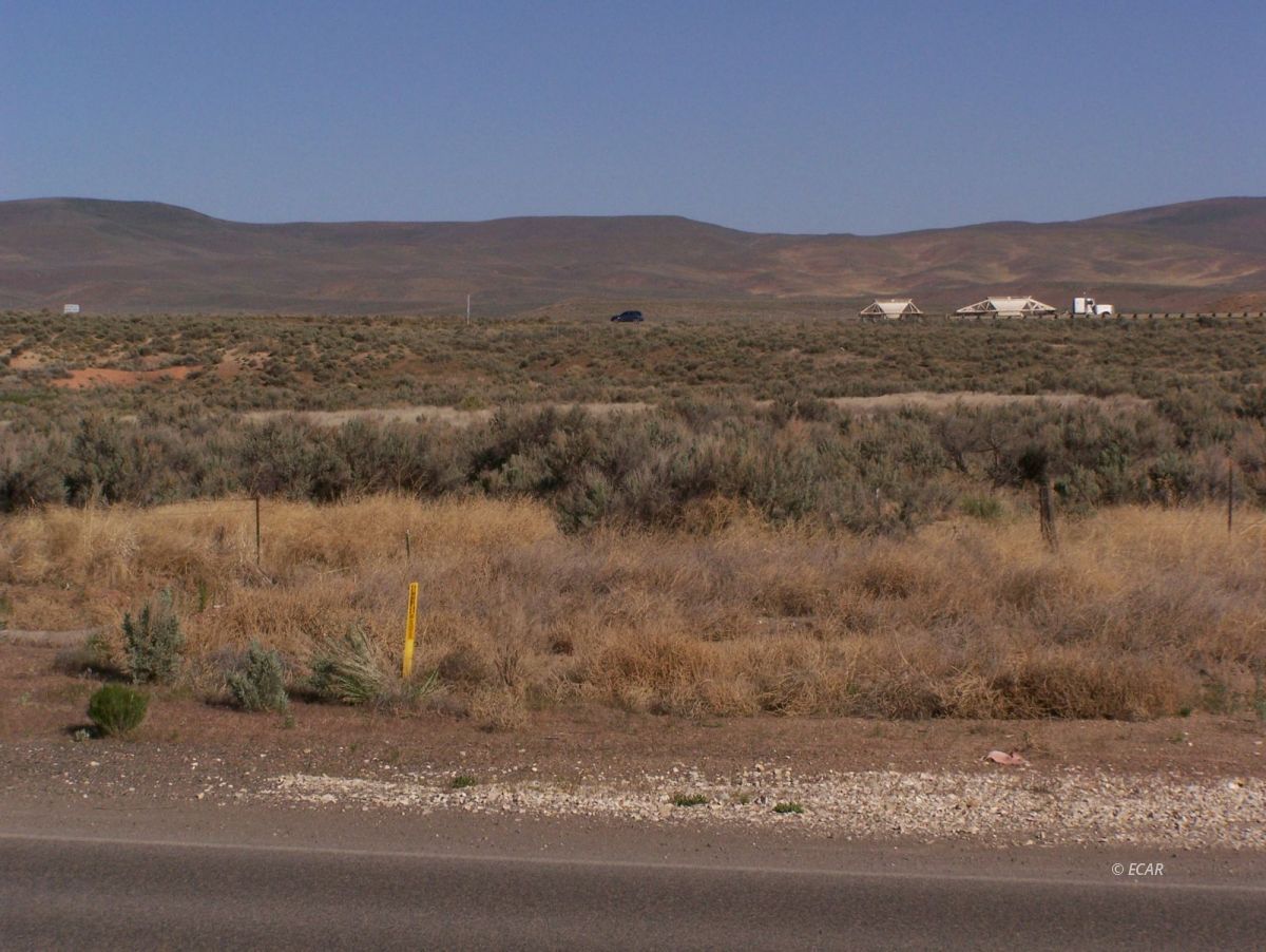 Elko, Nevada, 89801, United States, ,Land,For Sale,1838764