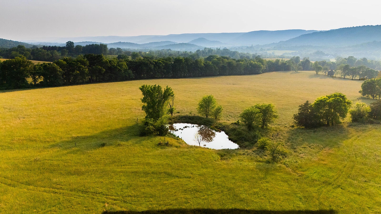 188 Marion Agee Road, Crossville, Tennessee, 37367, United States, ,Land,For Sale,188 Marion Agee Road,1659693