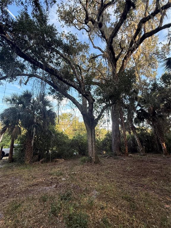 Palm Coast, Florida, 32137, United States, ,Land,For Sale,2000398