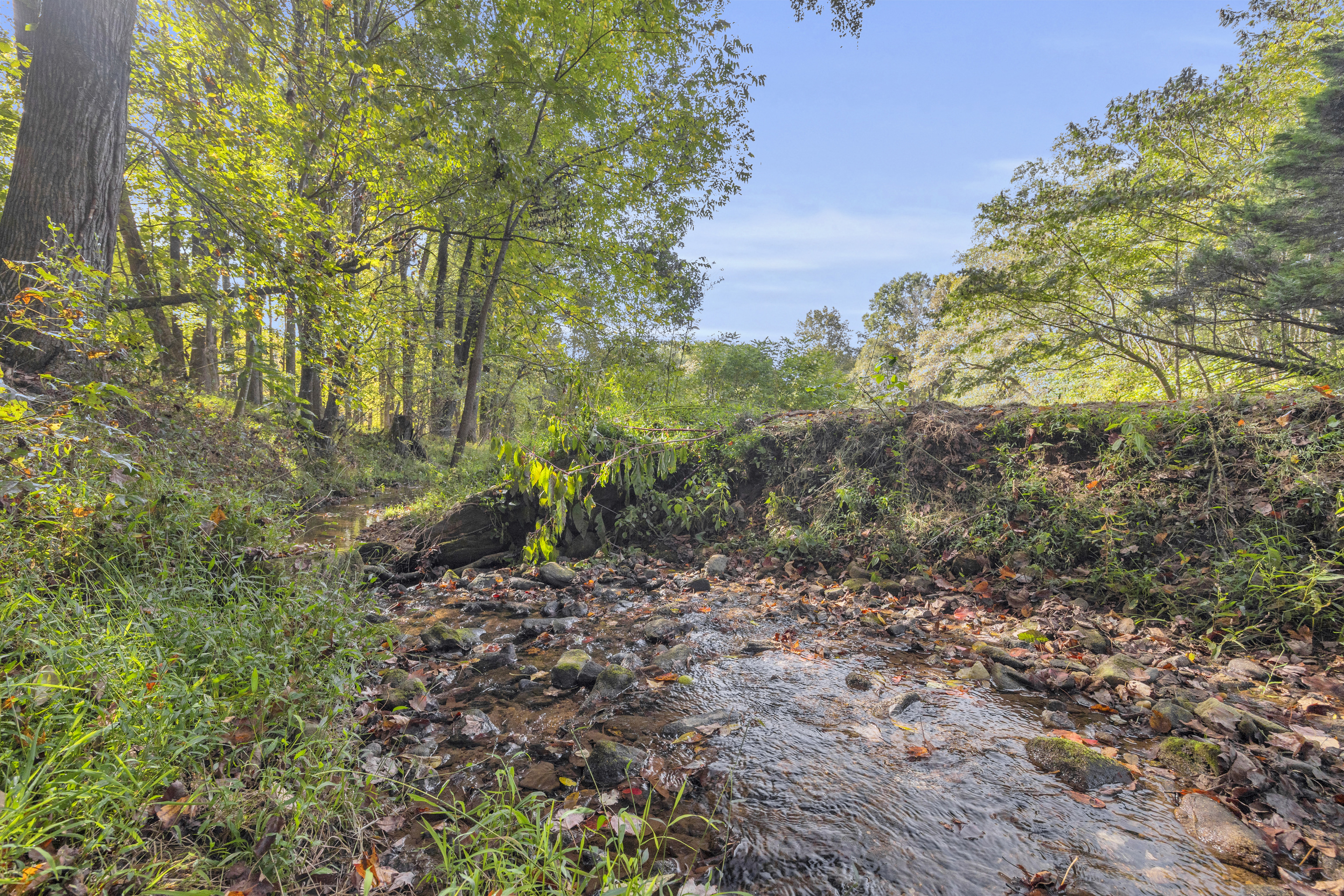 Cleveland, Georgia, 30528, United States, 3 Bedrooms Bedrooms, ,2 BathroomsBathrooms,Residential,For Sale,1979350