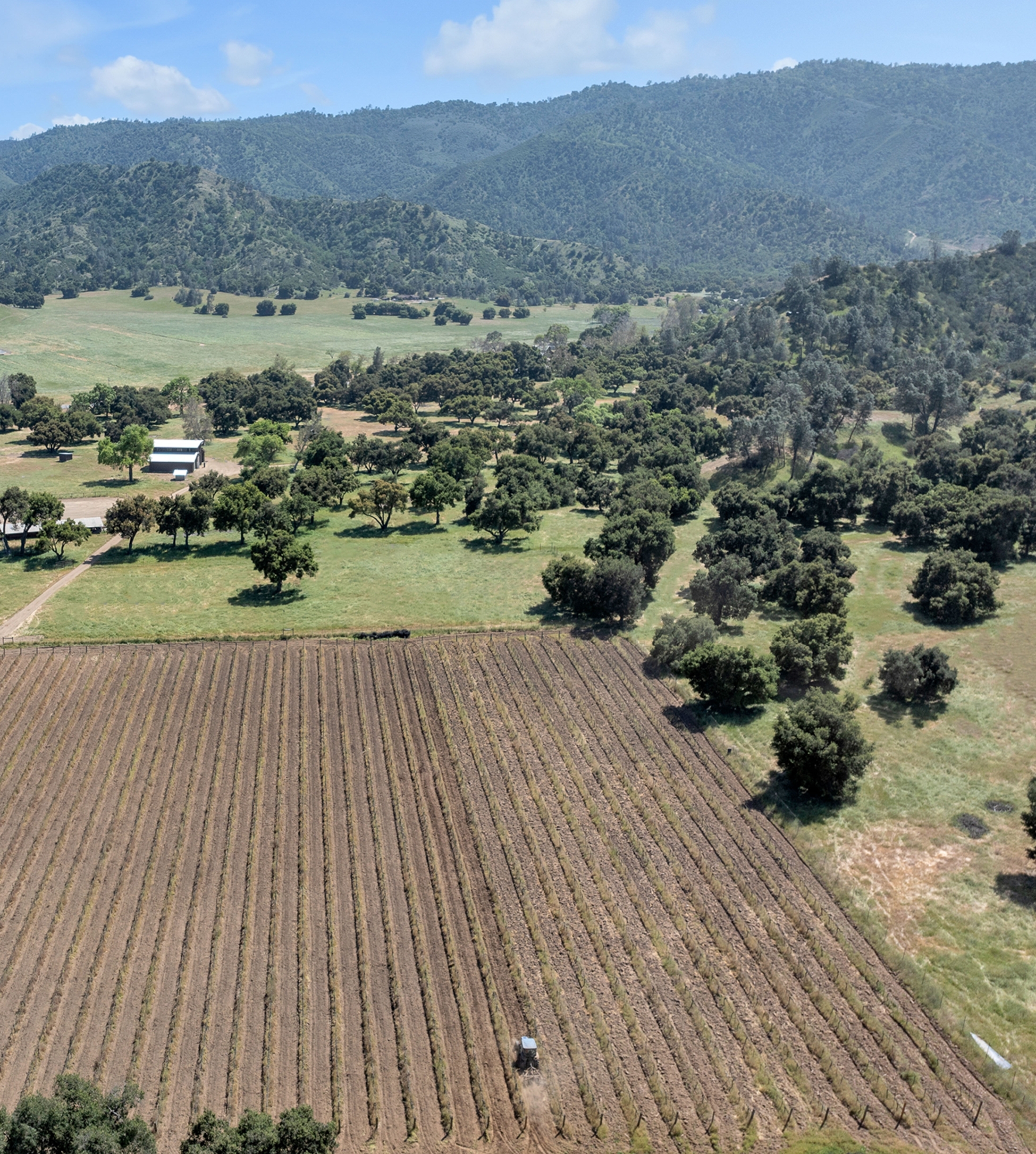  770 Limekiln Road - 物件實景