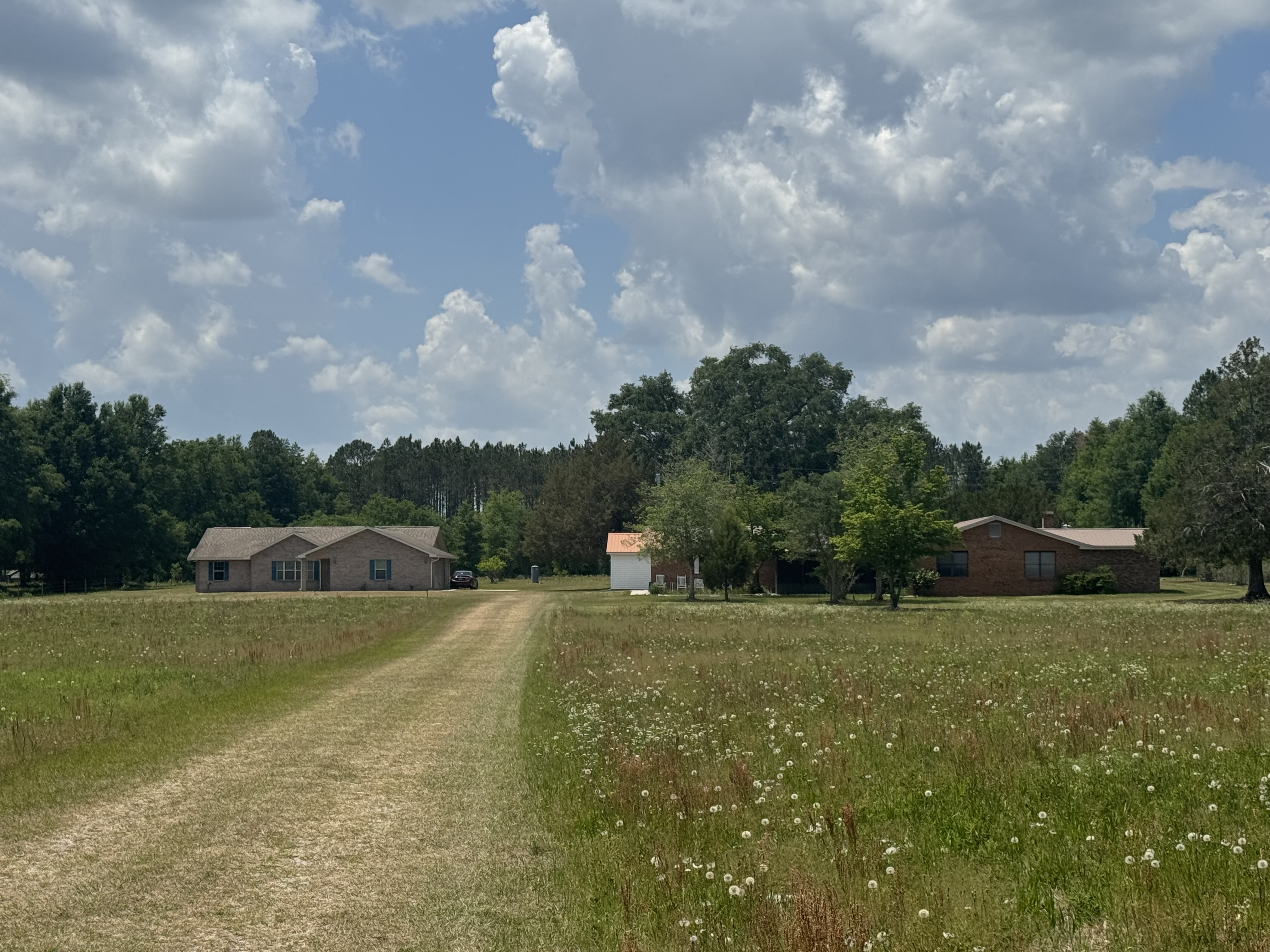 LAKE CITY, Florida, 32024, United States, 4 Bedrooms Bedrooms, ,2 BathroomsBathrooms,Residential,For Sale,1794227