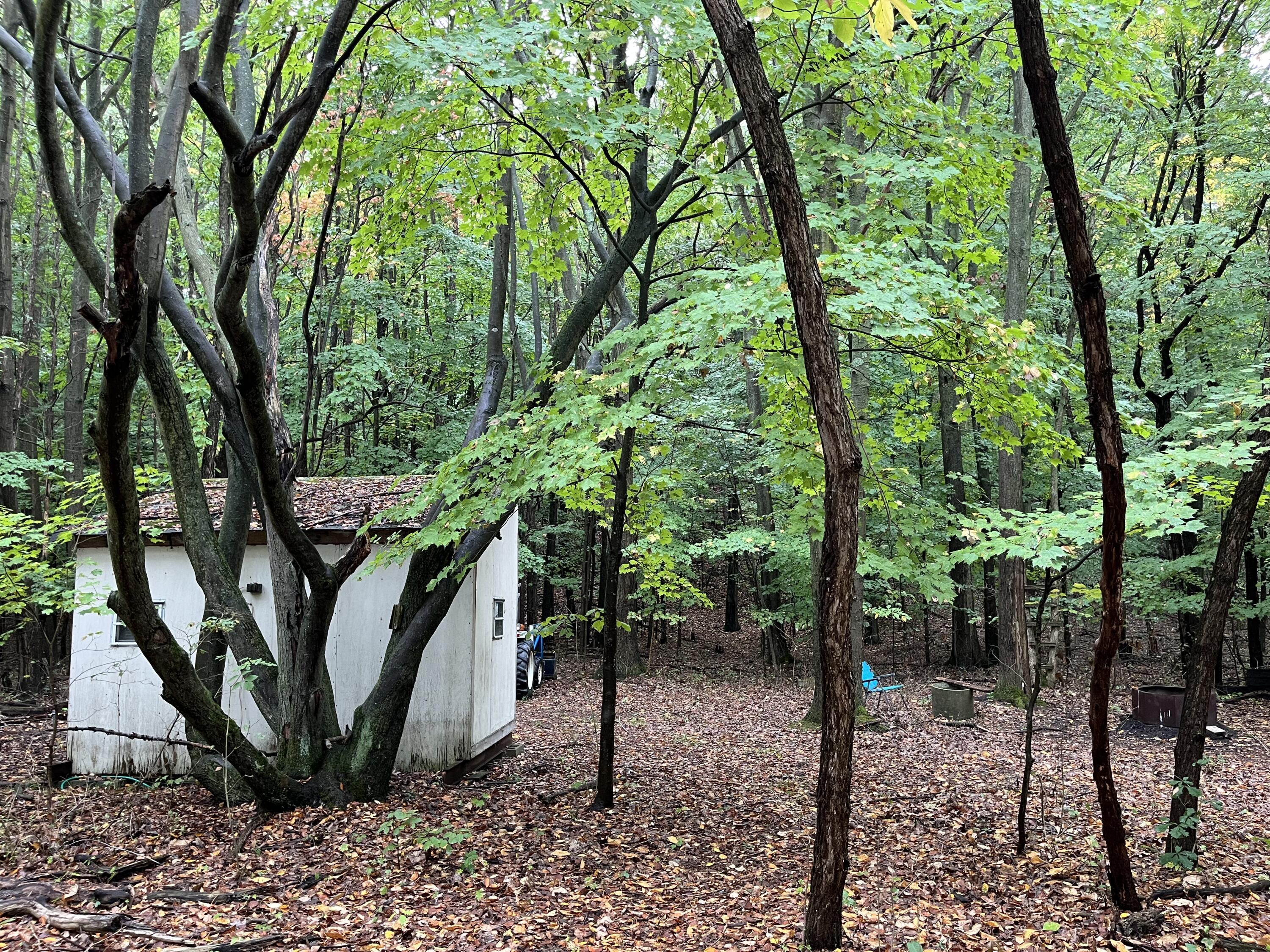 Holland, Michigan, 49423, United States, ,Land,For Sale,1984498