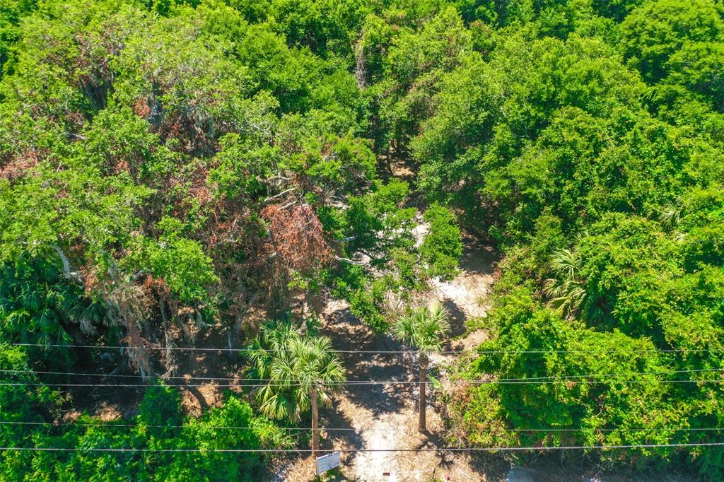 Palm Coast, Florida, 32137, United States, ,Land,For Sale,2000398