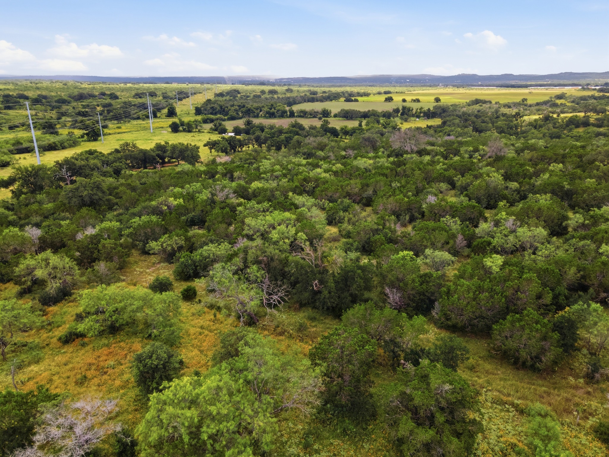  16 Acres in Spicewood - 物件實景