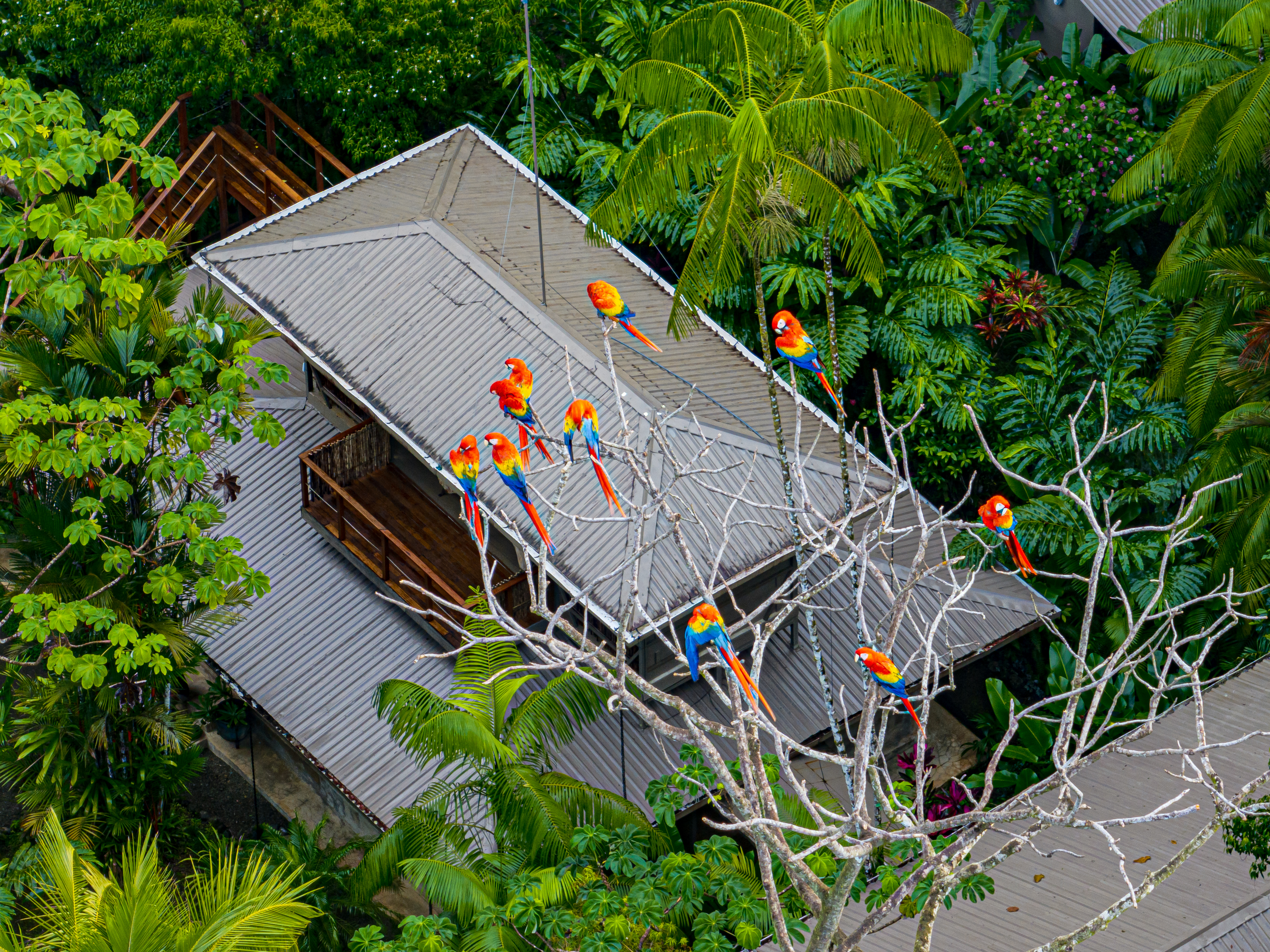 Golfito, Puntarenas, CR, 15 Bedrooms Bedrooms, ,13 BathroomsBathrooms,Residential,For Sale,1903279