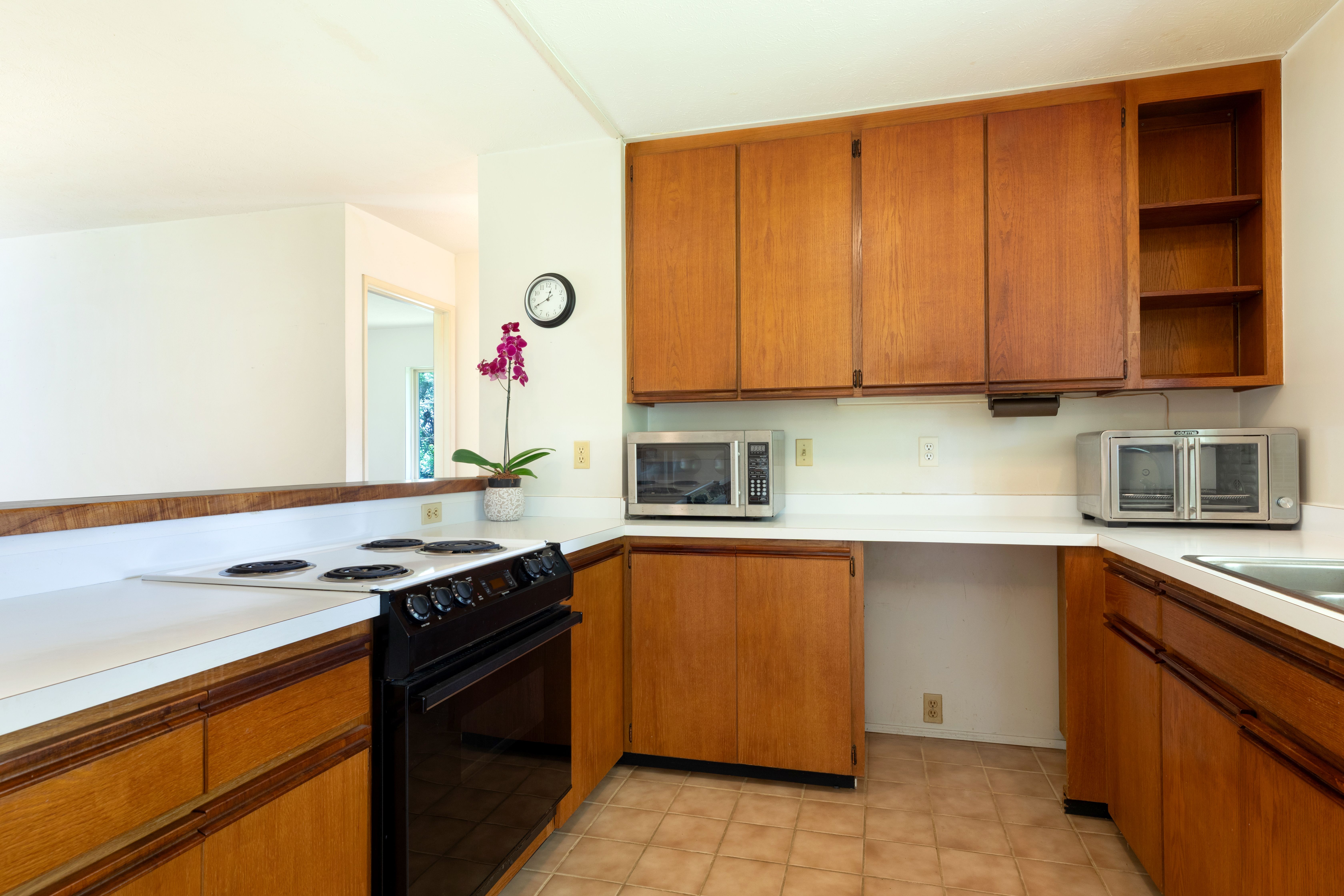  55-508 Ilina Rd, Hawi, HI, 96719 - 物件實景