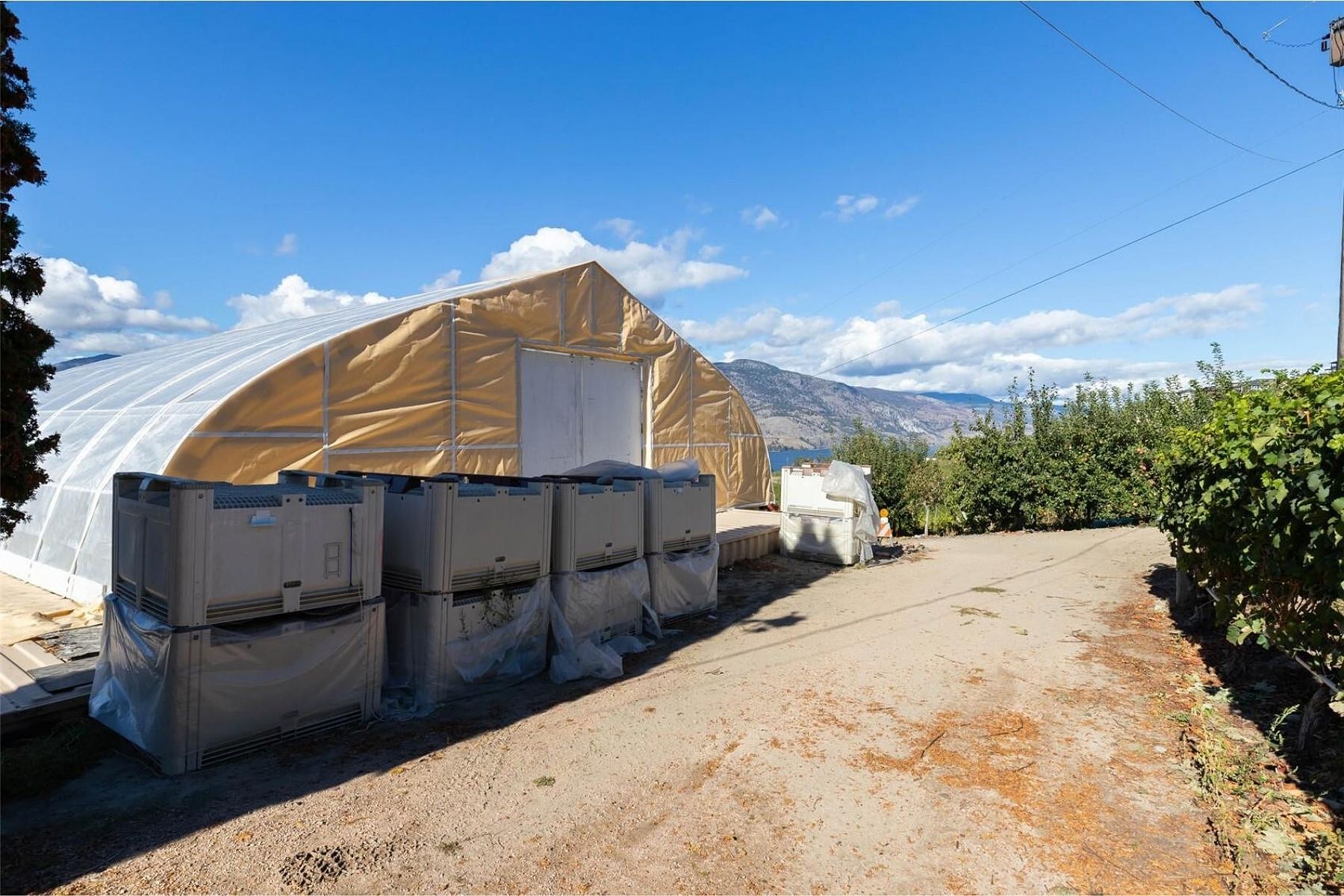  Boutique Okanagan Winery - 物件實景