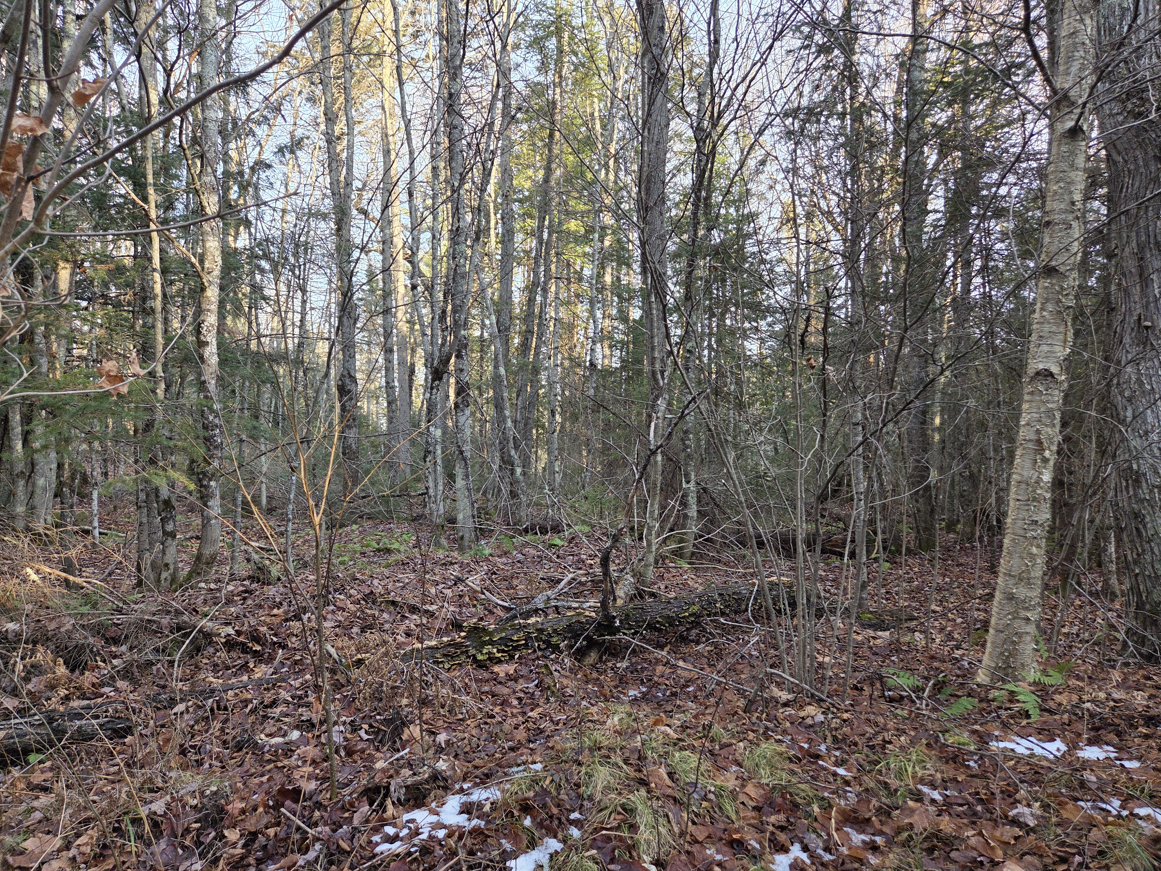 Watersmeet, Michigan, 49969, United States, ,Land,For Sale,1992364