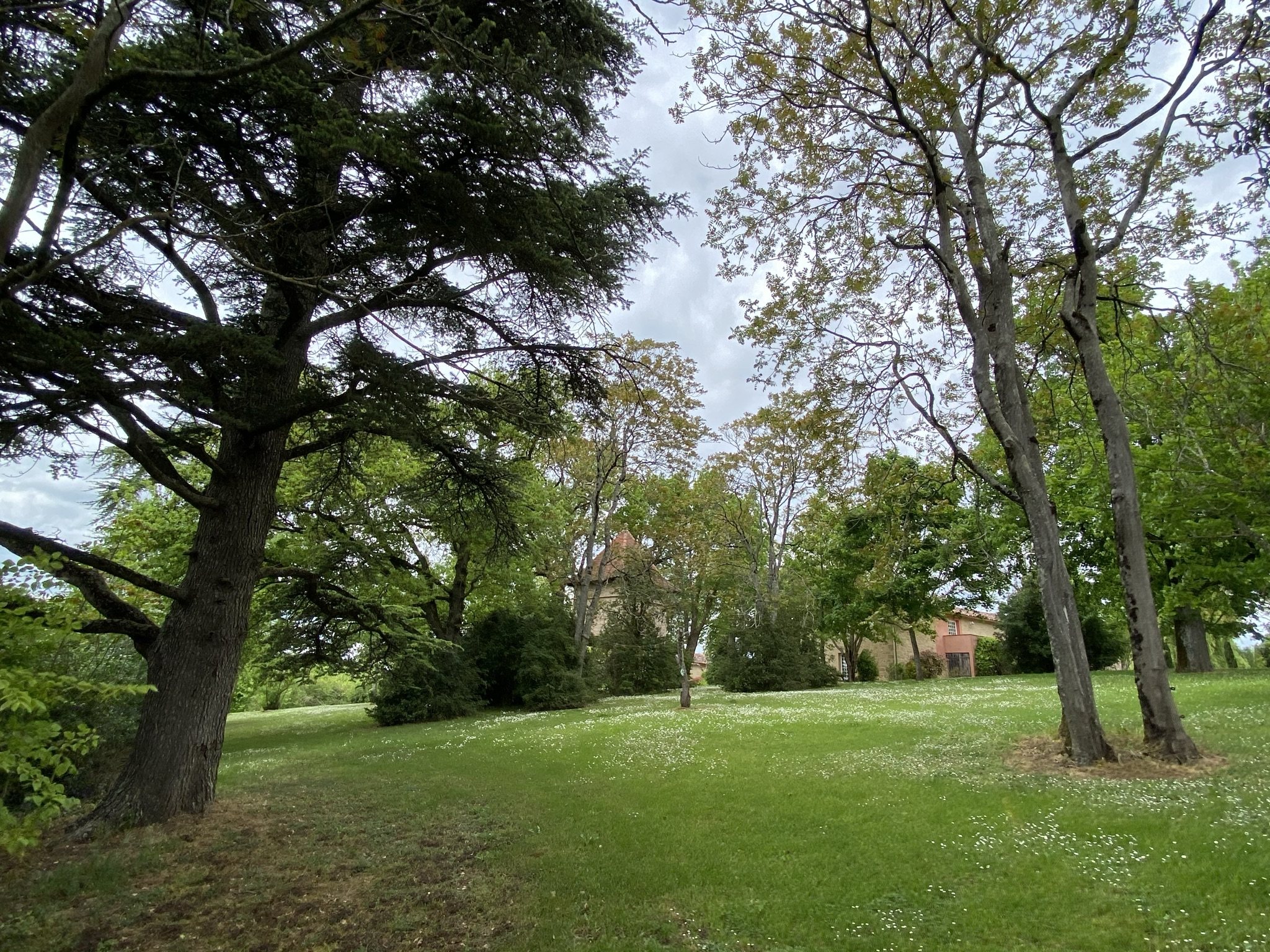  Large property for multiple projects  - 物件實景