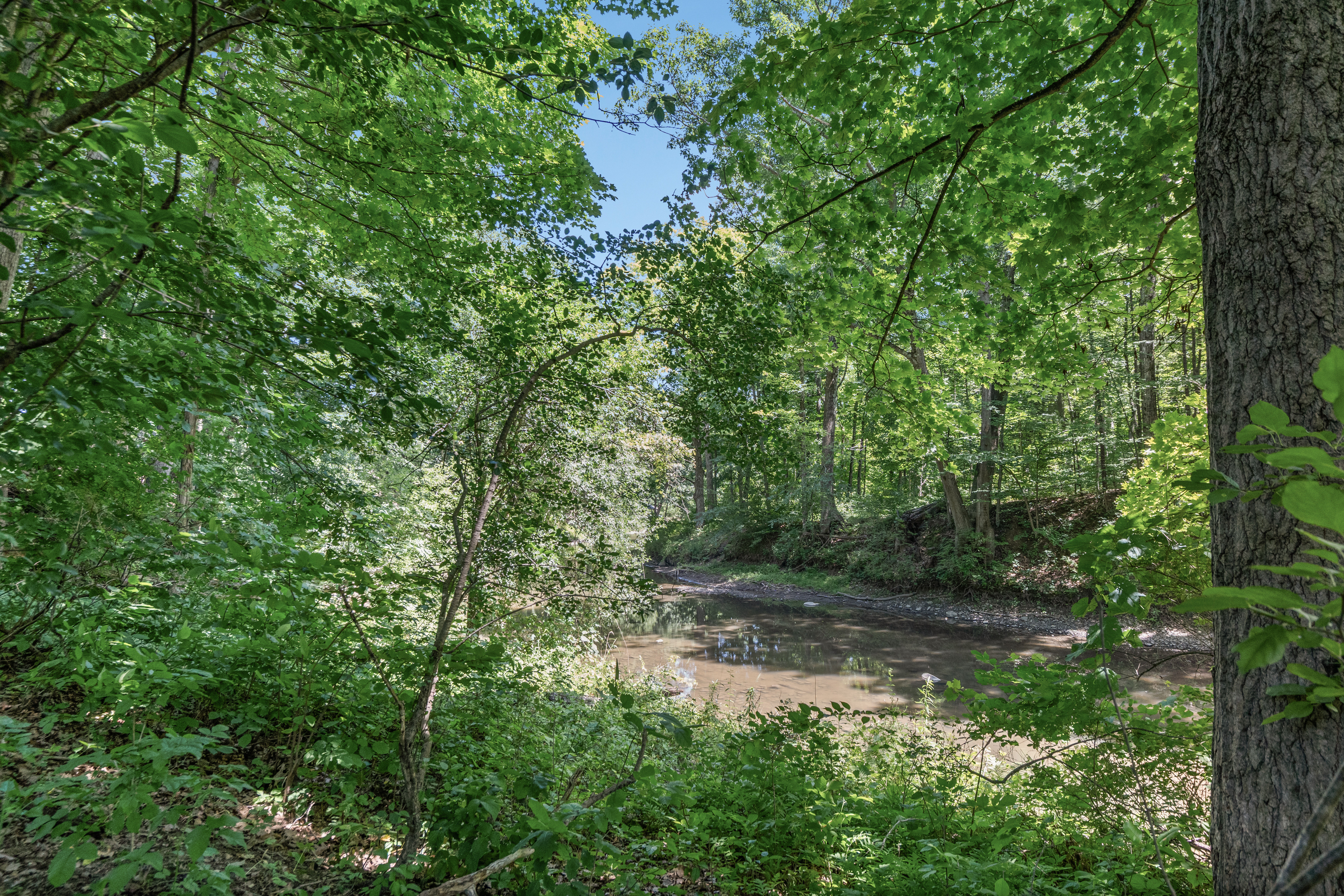  29 Yolanda Drive, Glenville, NY, 12027 - 物件實景