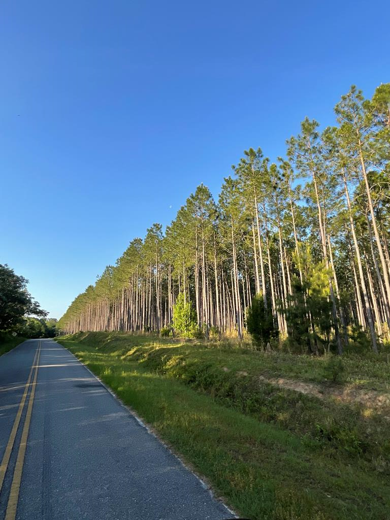 Cordele, Georgia, 31015, United States, ,Residential,For Sale,1982733