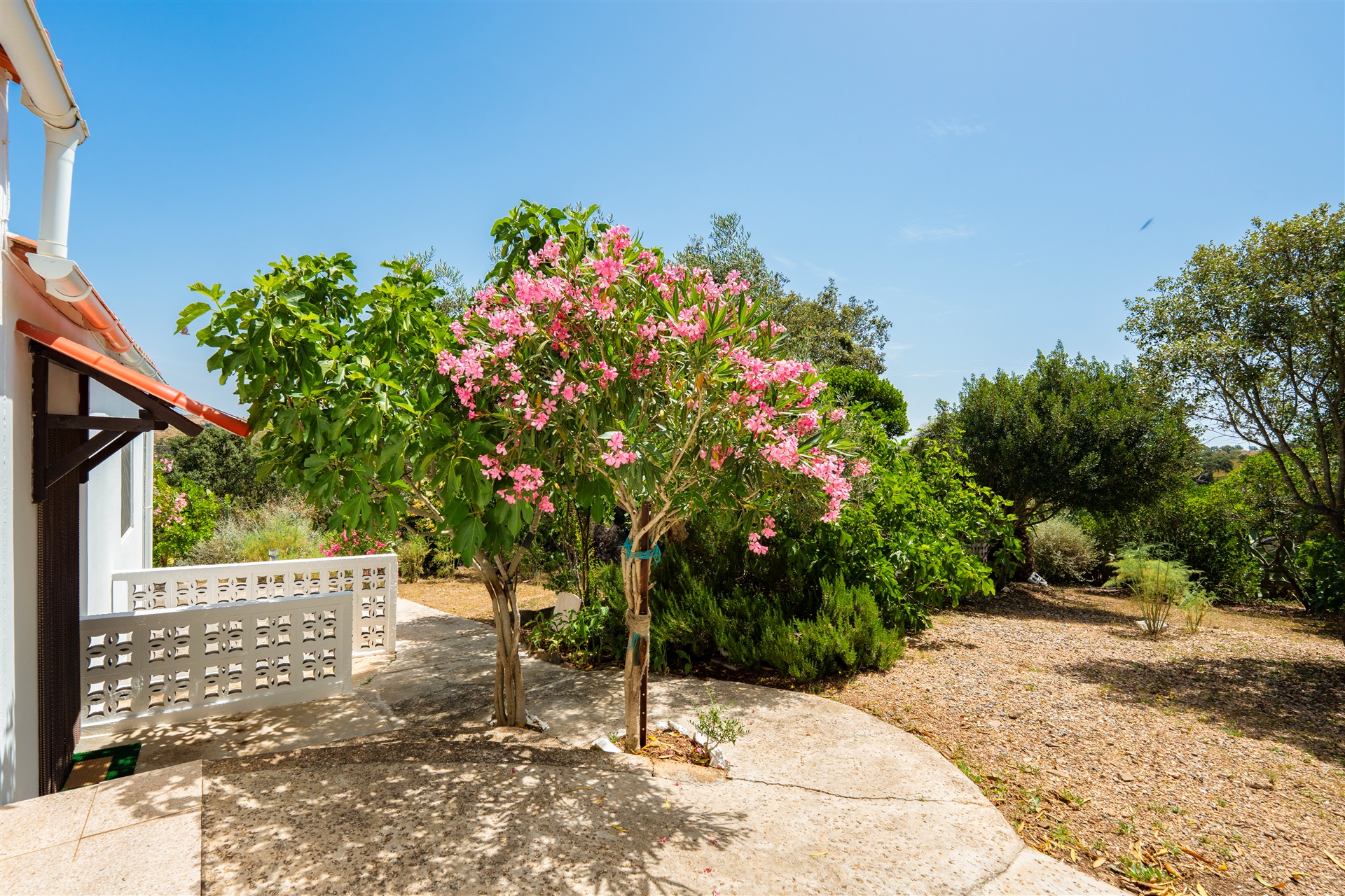  Farm, 4 bedrooms, for Sale - 物件實景
