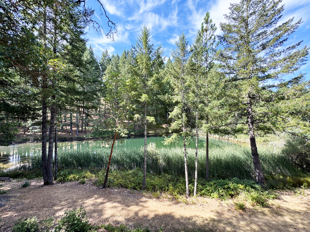 Willits, California, 95490, United States, 2 Bedrooms Bedrooms, ,2 BathroomsBathrooms,Residential,For Sale,1943077