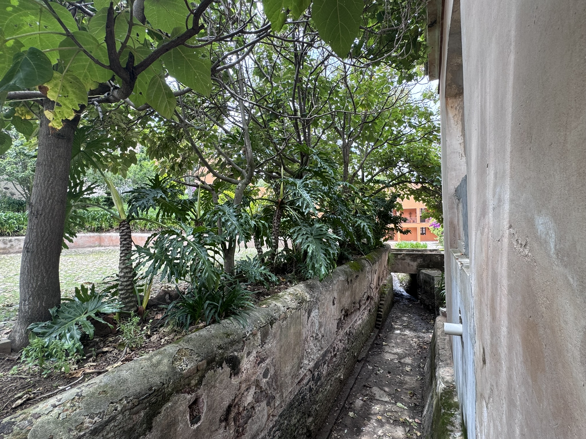  RANCHO EL MOLINO - 物件實景