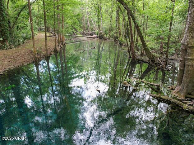 Vernon, Florida, 32462, United States, ,Residential,For Sale,1976647