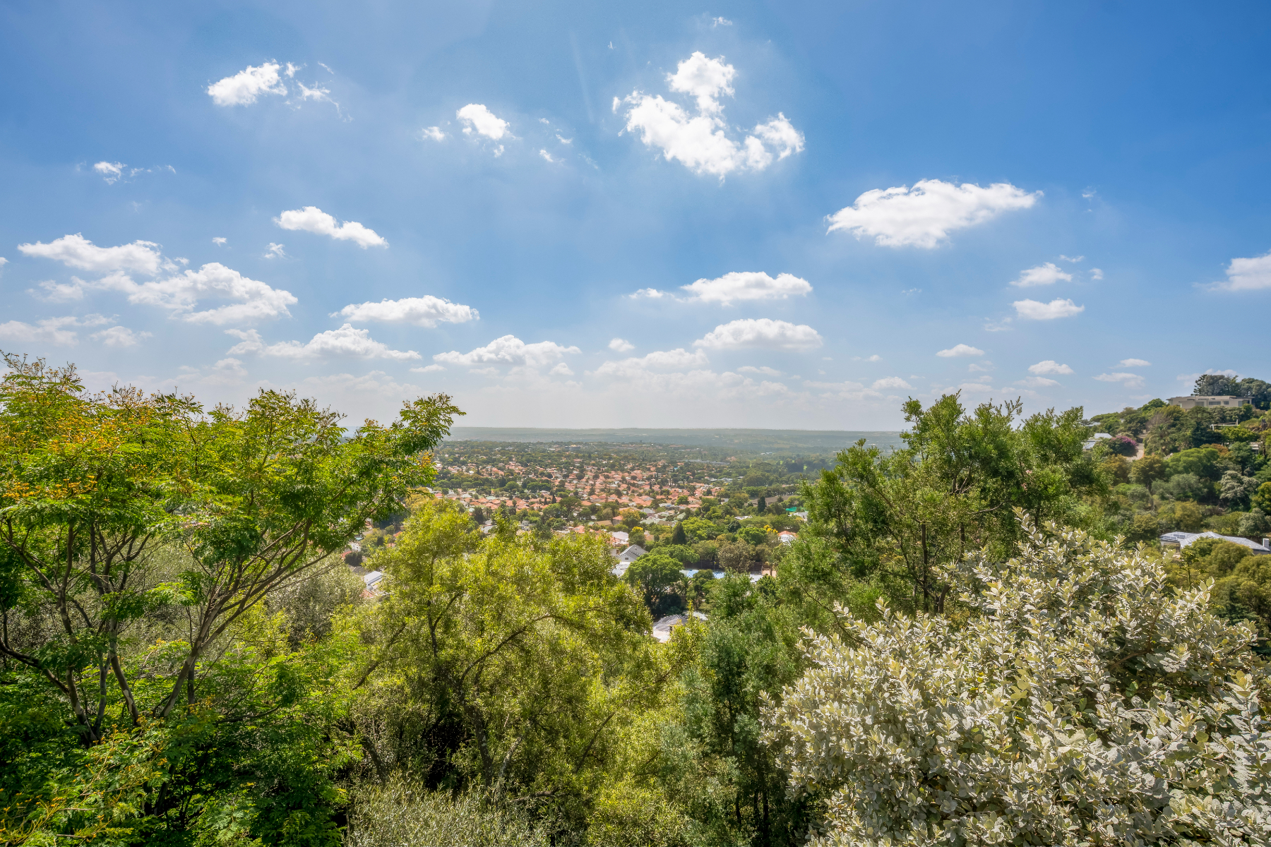  Observatory - 物件實景