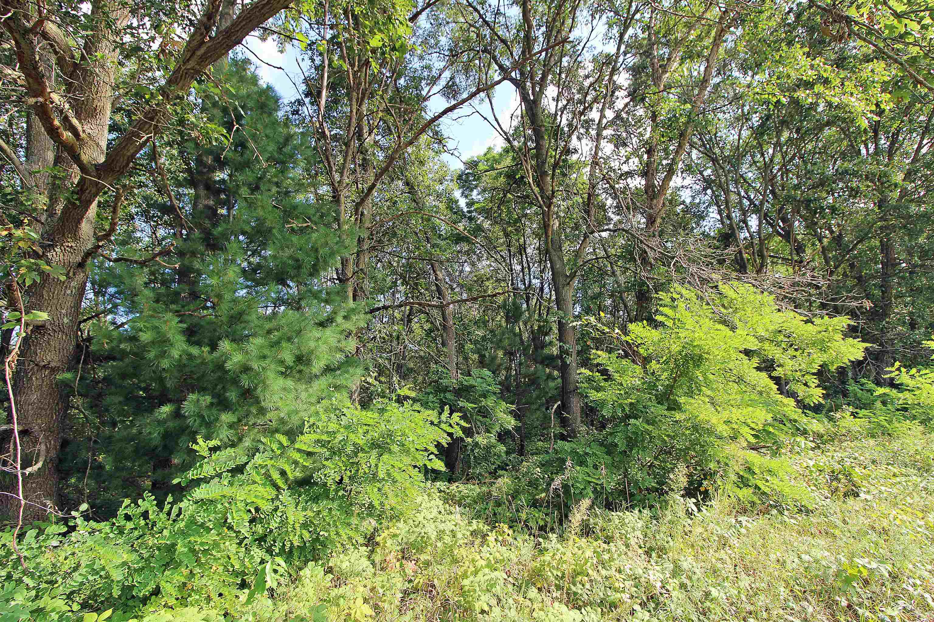 Arena, Wisconsin, 53503, United States, 3 Bedrooms Bedrooms, ,2 BathroomsBathrooms,Residential,For Sale,1980037