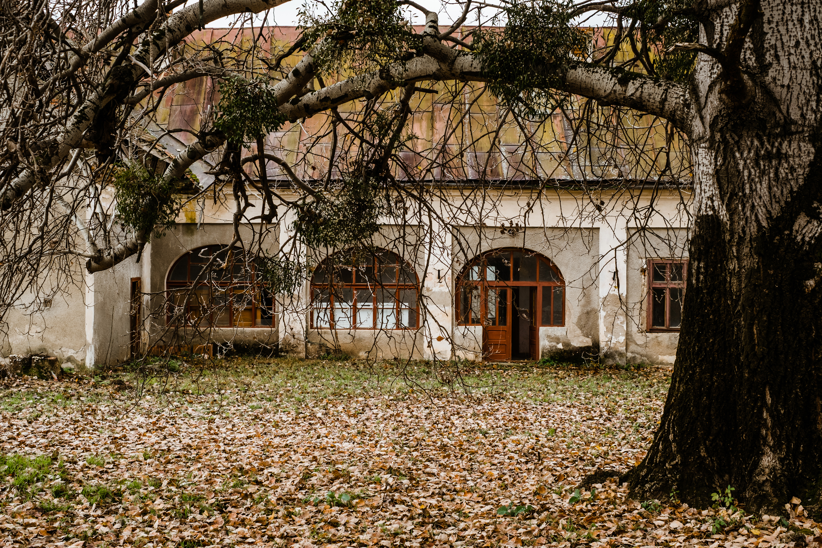  The Bónis Manor from Cubulcut - A Retreat of the Hungarian Crown - 物件實景