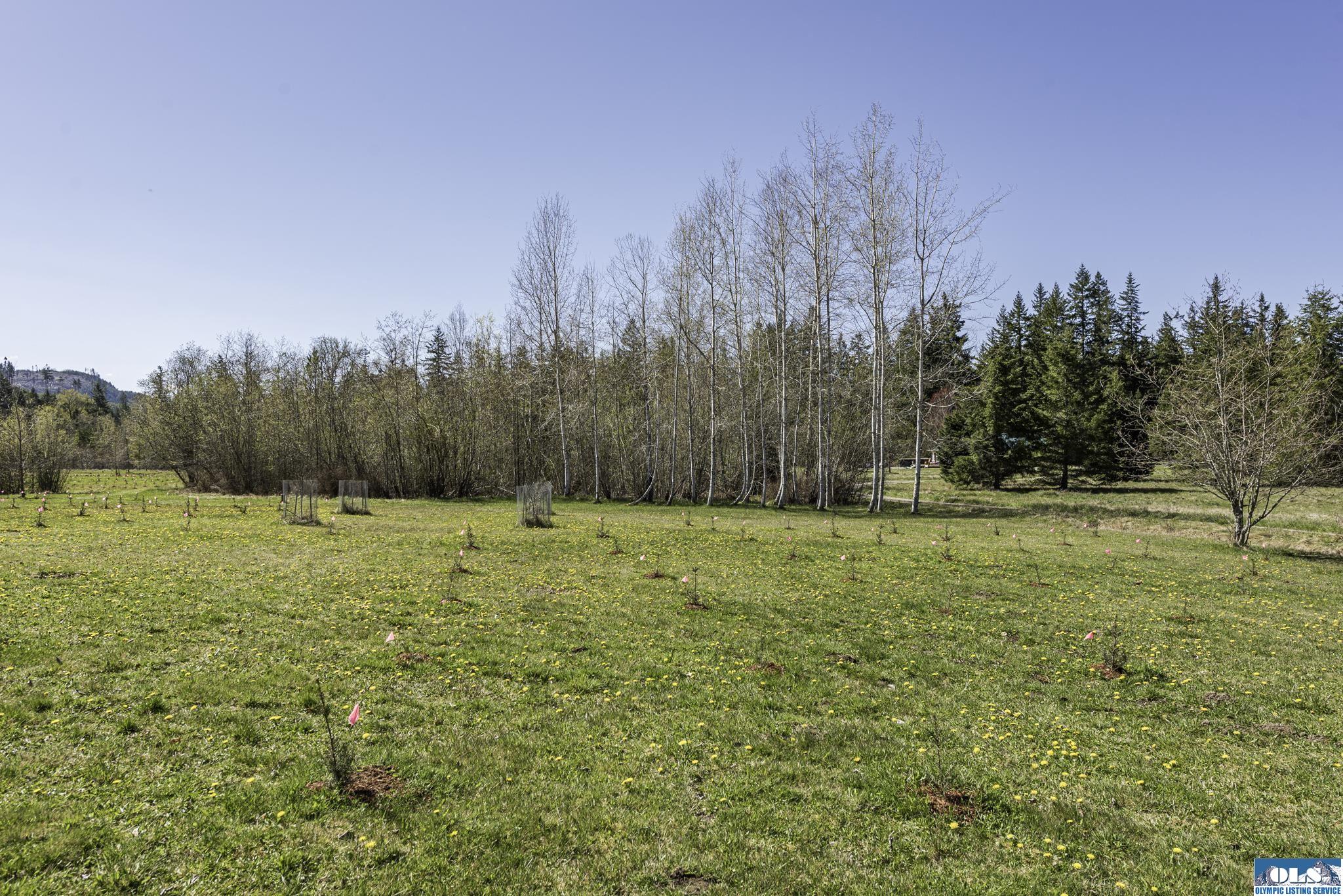 Sequim, Washington, 98382, United States, ,Land,For Sale,1787569