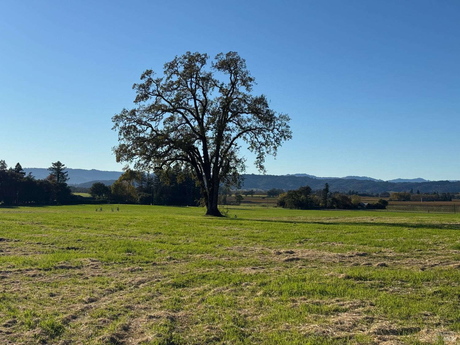 Geyserville, California, 95441, United States, ,Land,For Sale,2001699