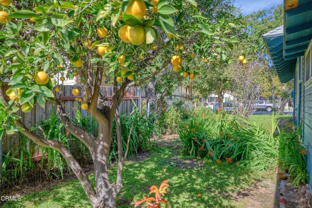 Santa Paula, California, 93060, United States, 3 Bedrooms Bedrooms, ,1 BathroomBathrooms,Residential,For Sale,2043015