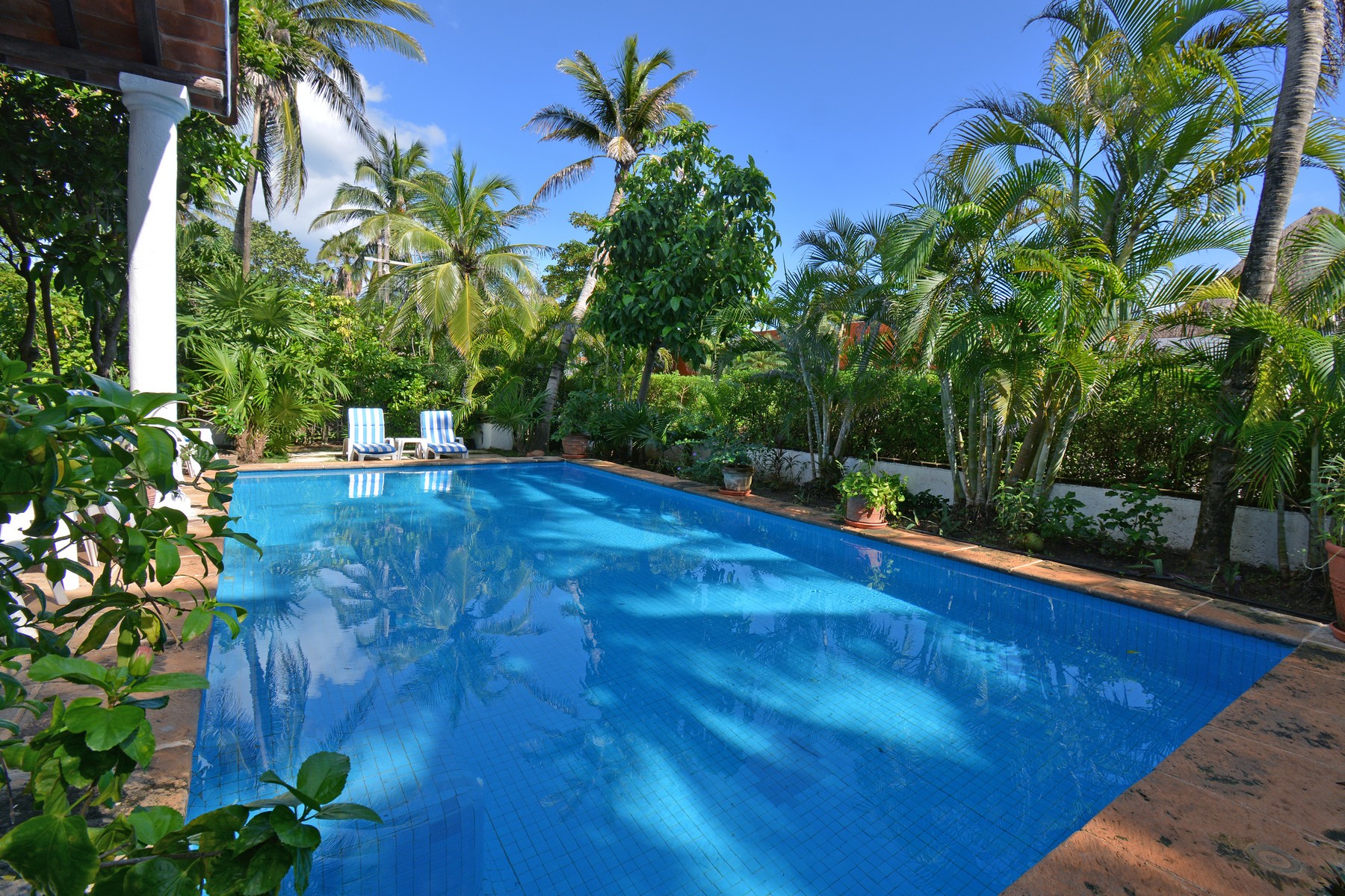  OCEANVIEW TROPICAL ESCAPE RETREAT - 物件實景