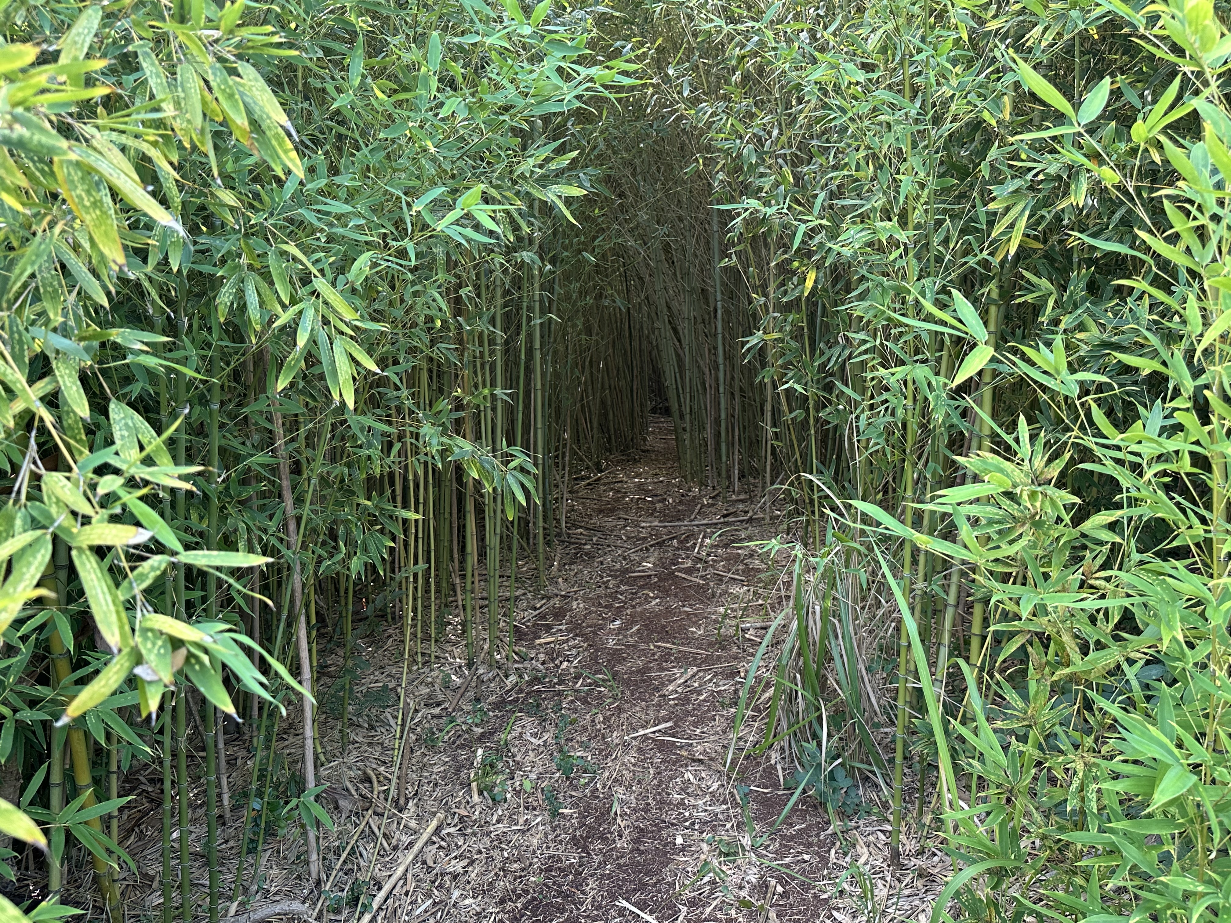 Mililani, Hawaii, 96789, United States, 3 Bedrooms Bedrooms, ,2 BathroomsBathrooms,Residential,For Sale,1978135