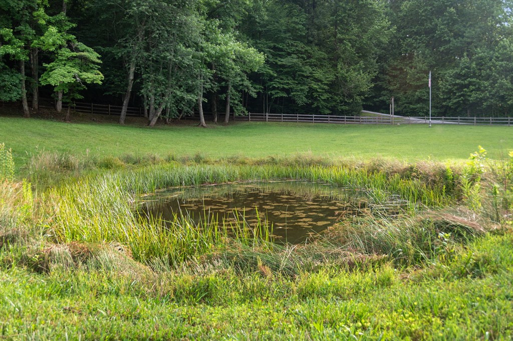 Blue Ridge, Georgia, 30513, United States, 3 Bedrooms Bedrooms, ,3 BathroomsBathrooms,Residential,For Sale,1974409