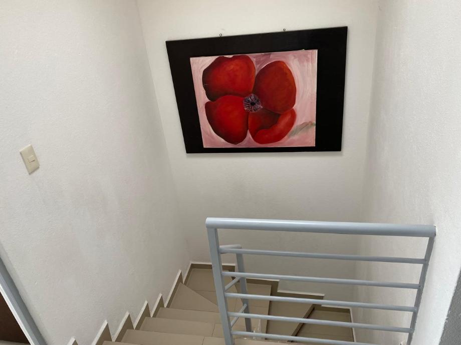 Zapopan, Jalisco, 45200, Mexico, 3 Bedrooms Bedrooms, ,3 BathroomsBathrooms,Residential,For Sale,1917960
