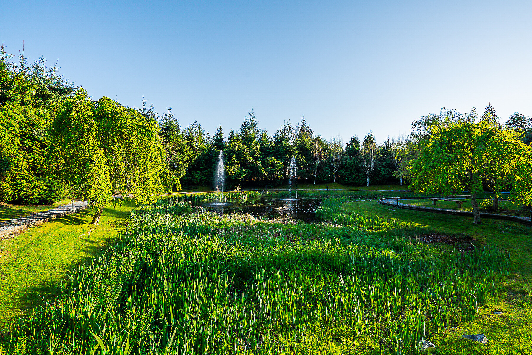  Beautiful Deer Ridge - 物件實景