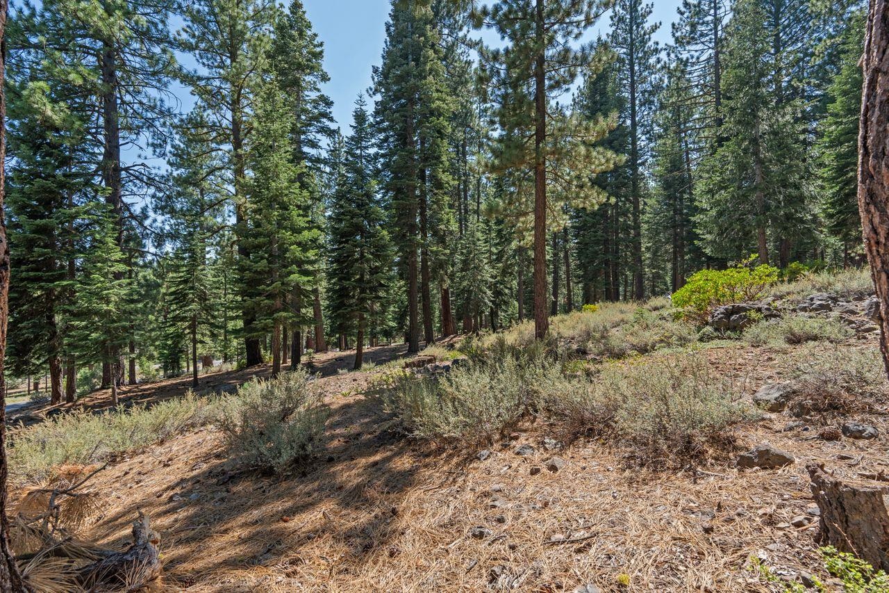 Truckee, California, 96161, United States, ,Land,For Sale,1818006