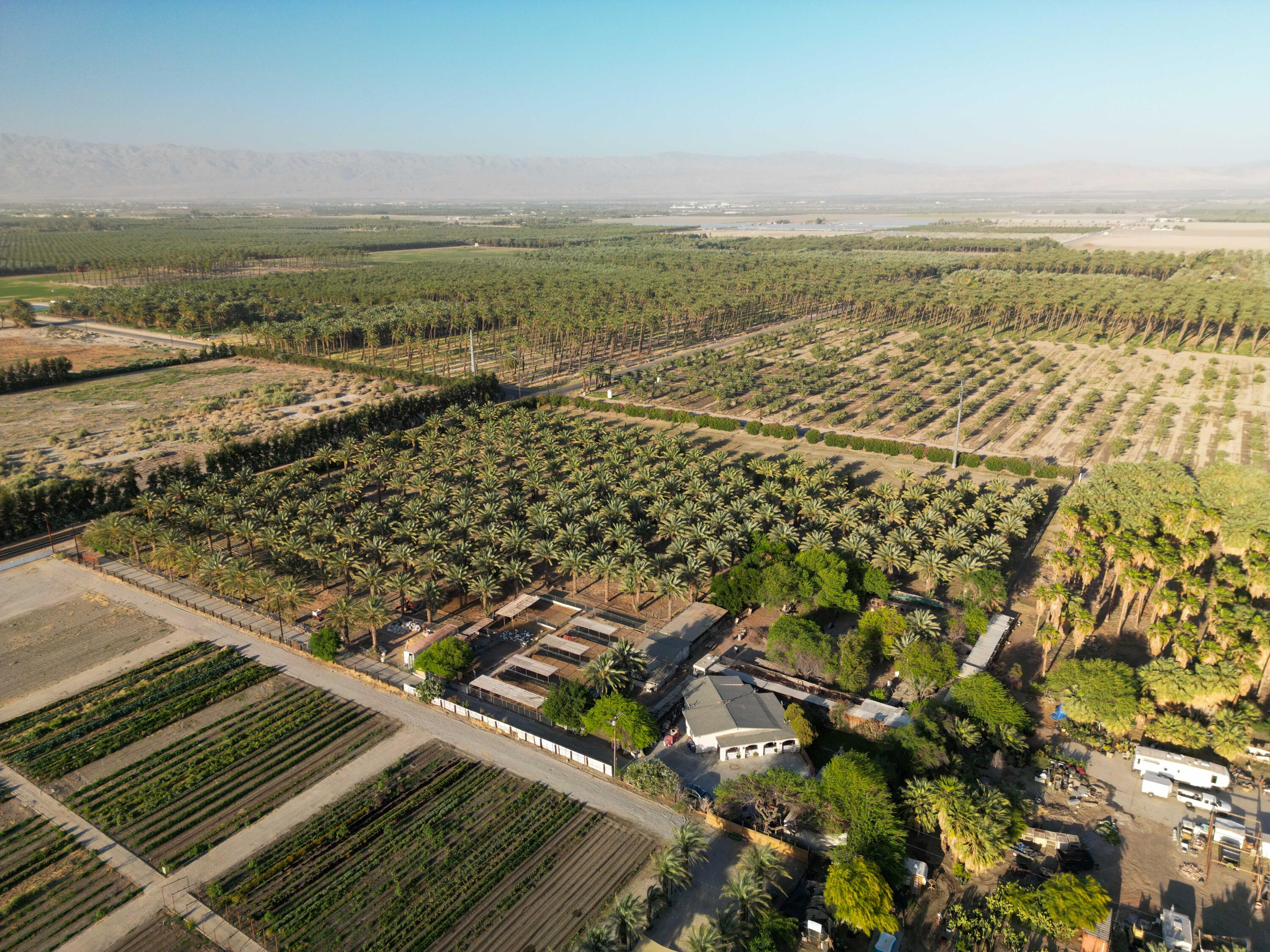 Thermal, California, 92274, United States, ,Land,For Sale,2006588