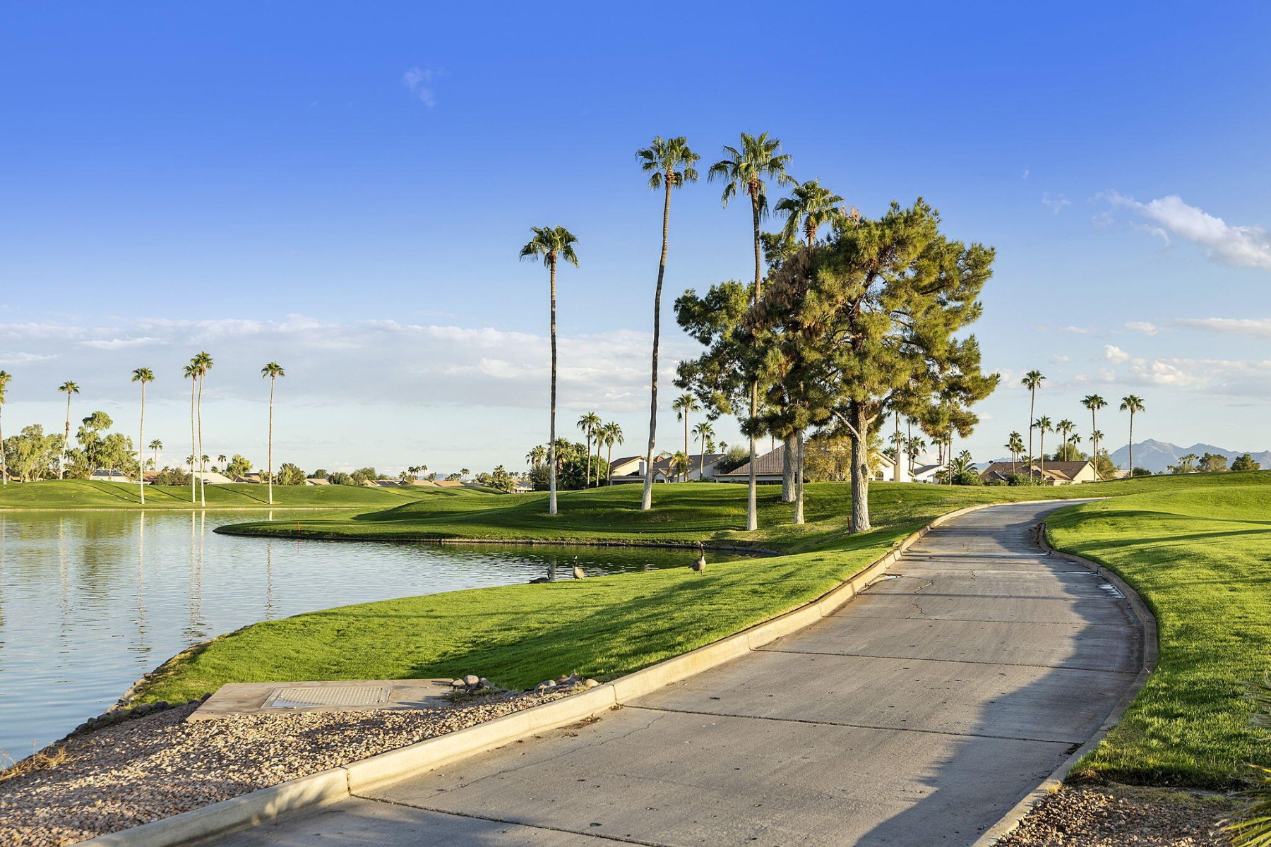  3365 N 153rd Drive¦Goodyear, AZ - 物件實景