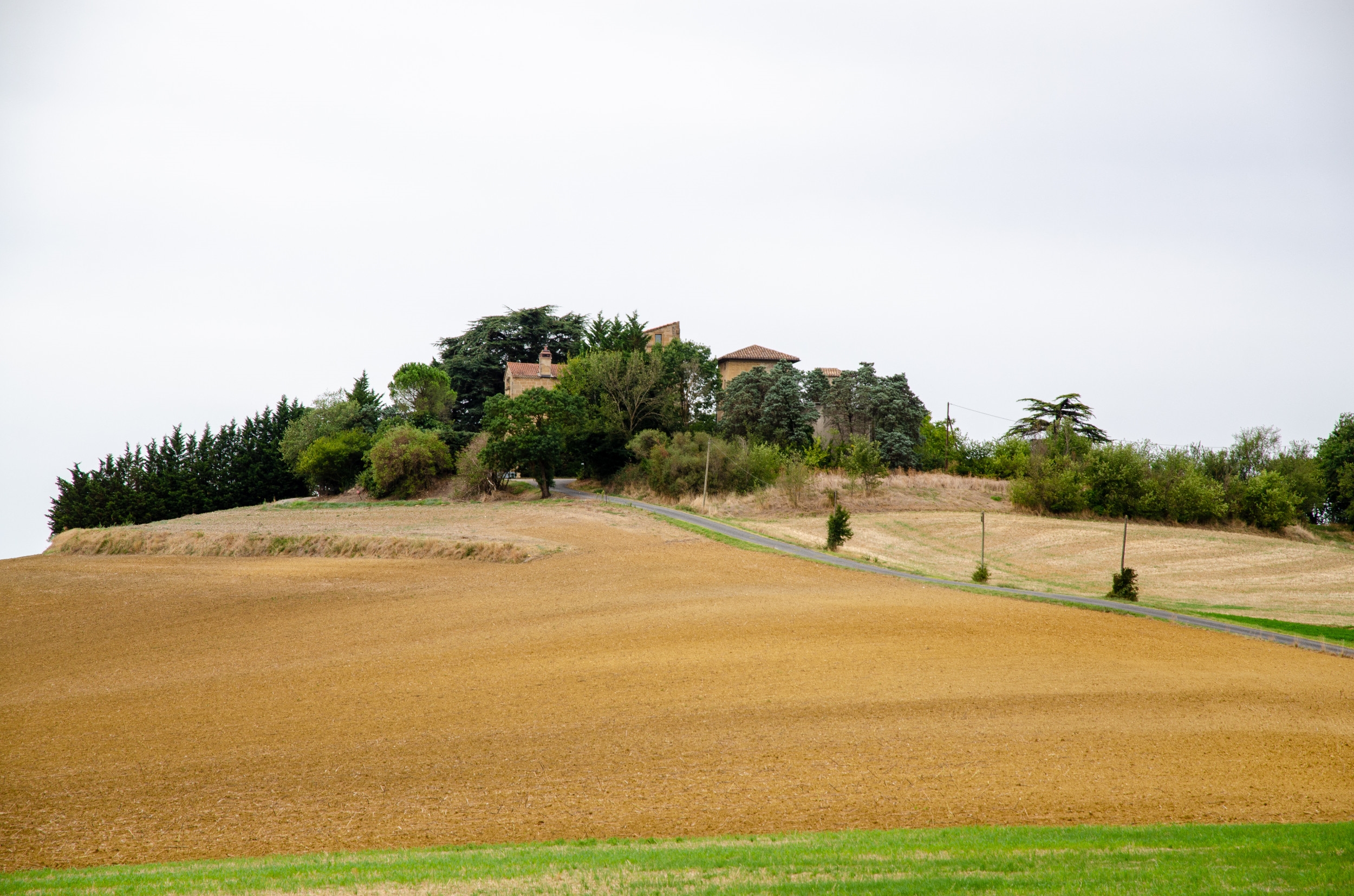  Unusual: Castle known as the Pastel Museum in the Tarn - 物件實景