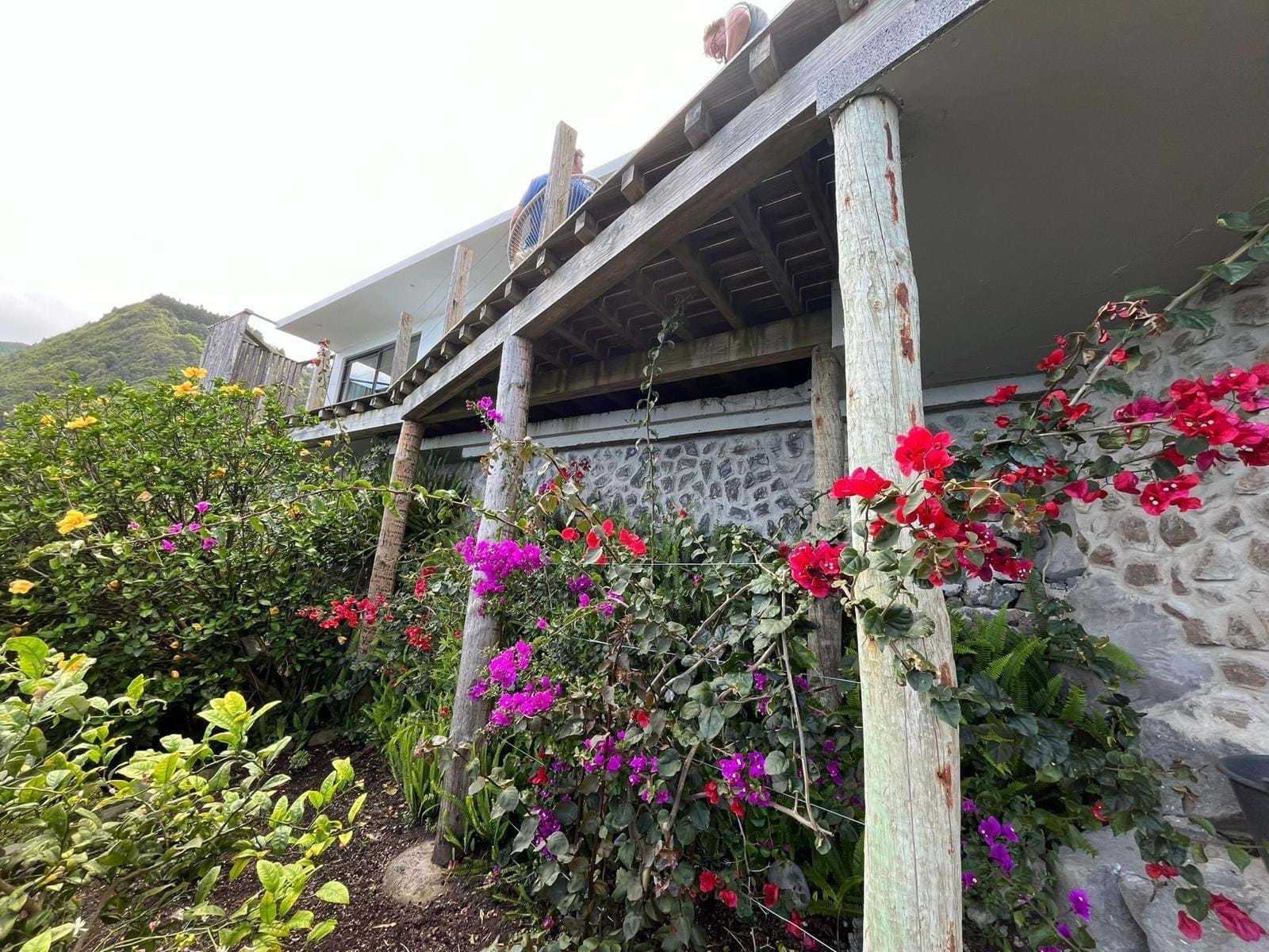 Nordeste, Ilha de São Miguel, PT, 3 Bedrooms Bedrooms, ,3 BathroomsBathrooms,Residential,For Sale,1882460