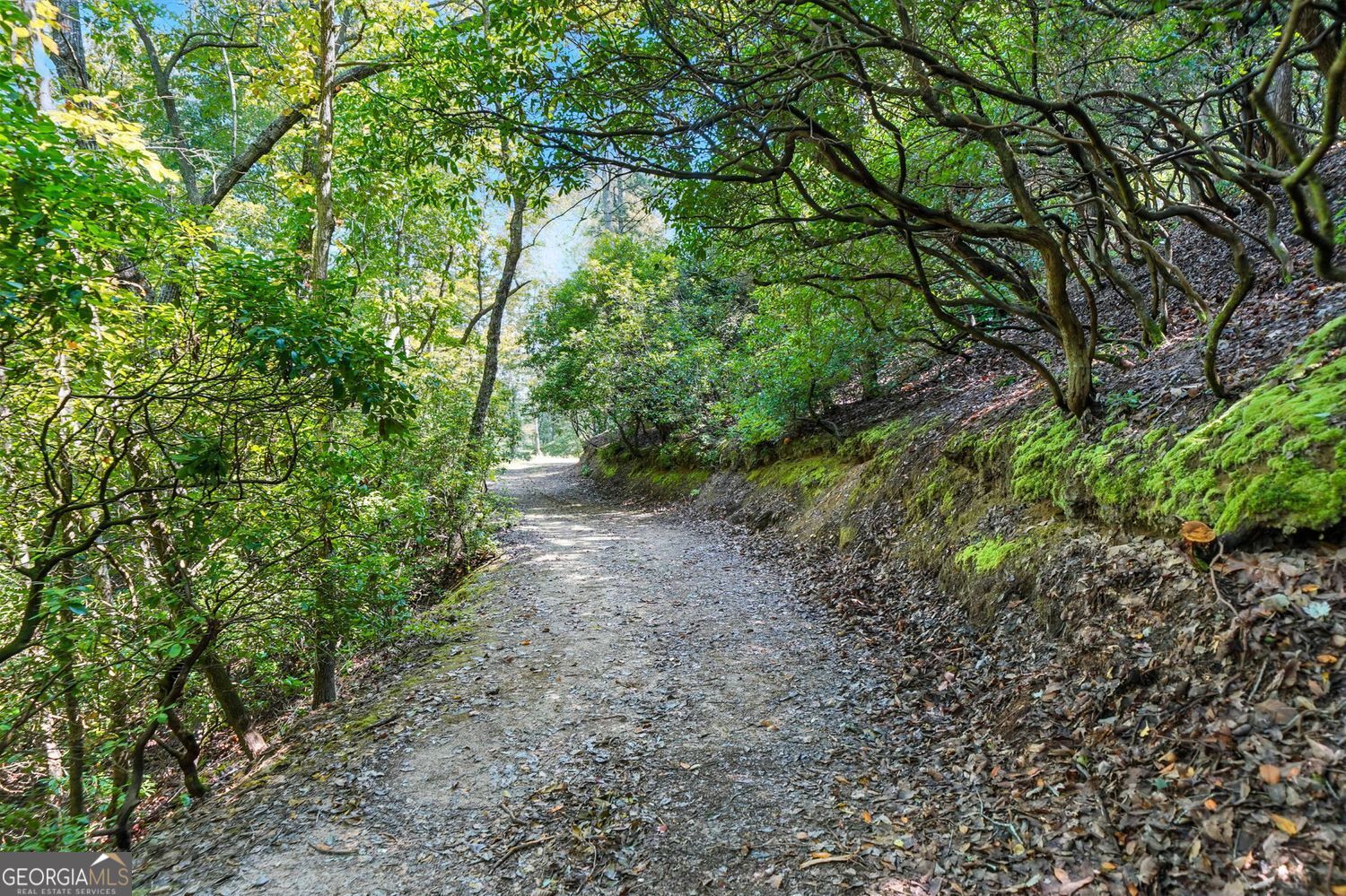 Waleska, Georgia, 30183, United States, ,Land,For Sale,1929808