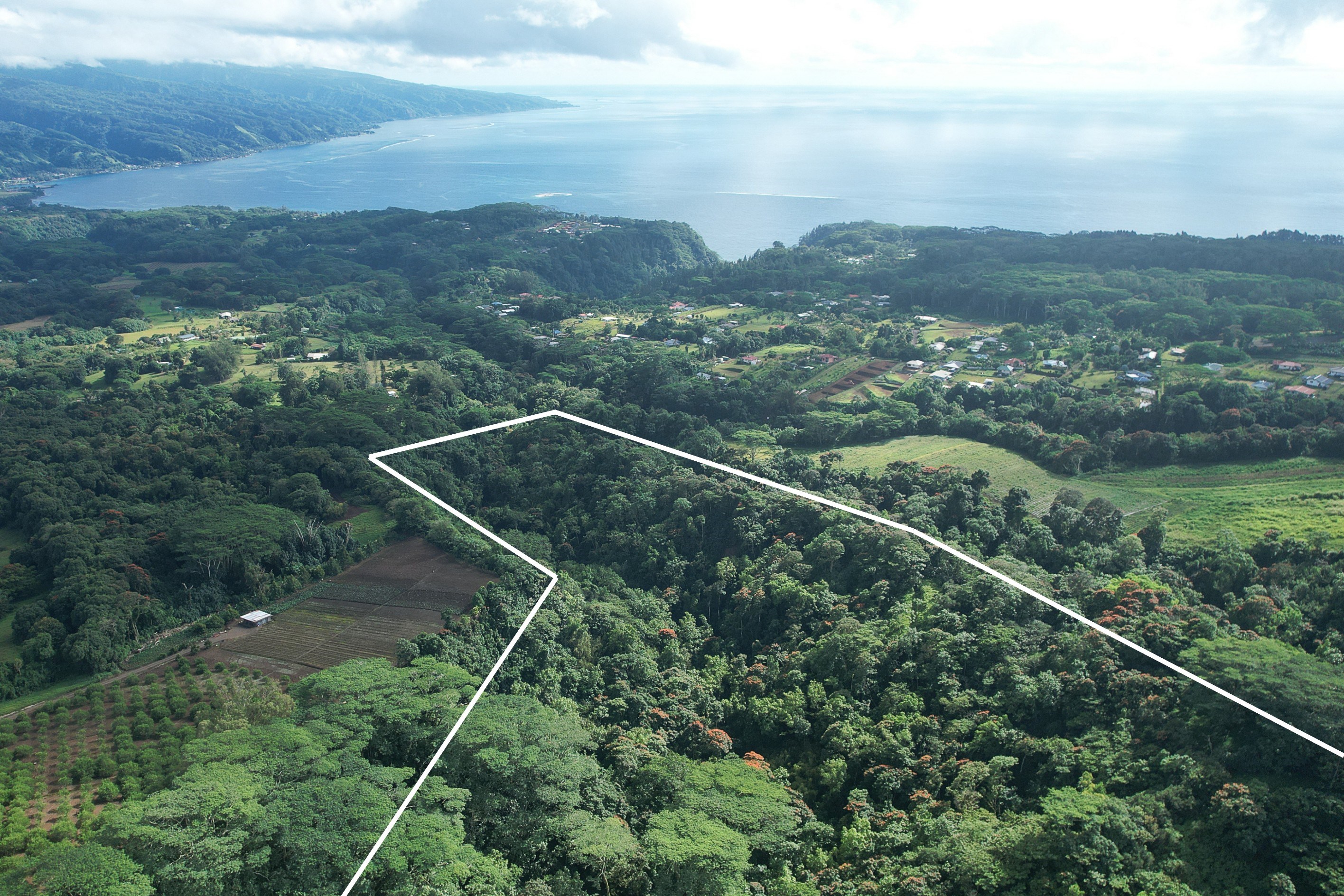  Tahiti - Afaahiti - Exceptional land surrounded by nature - 物件實景