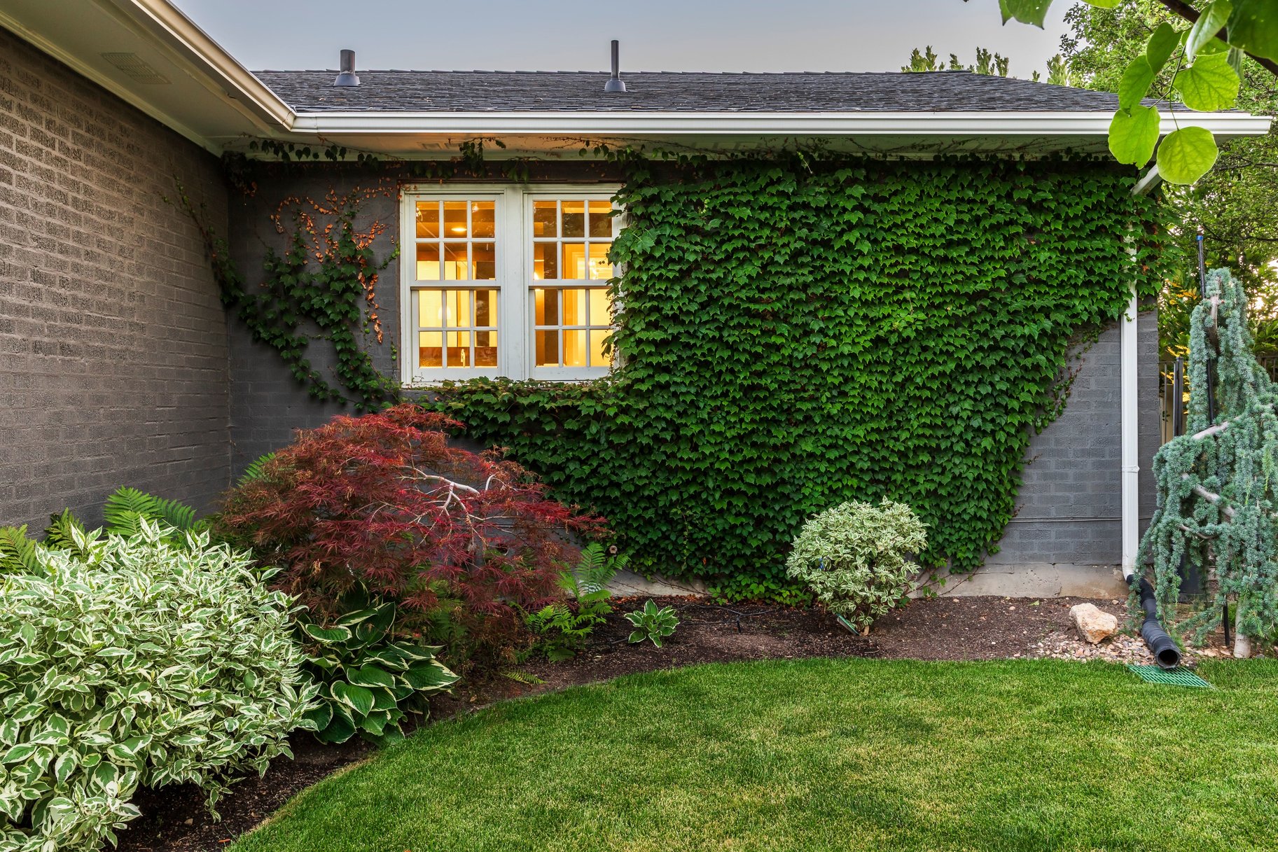  Tastefully Updated Holladay Rambler on .60 acre Manicured Lot - 物件實景
