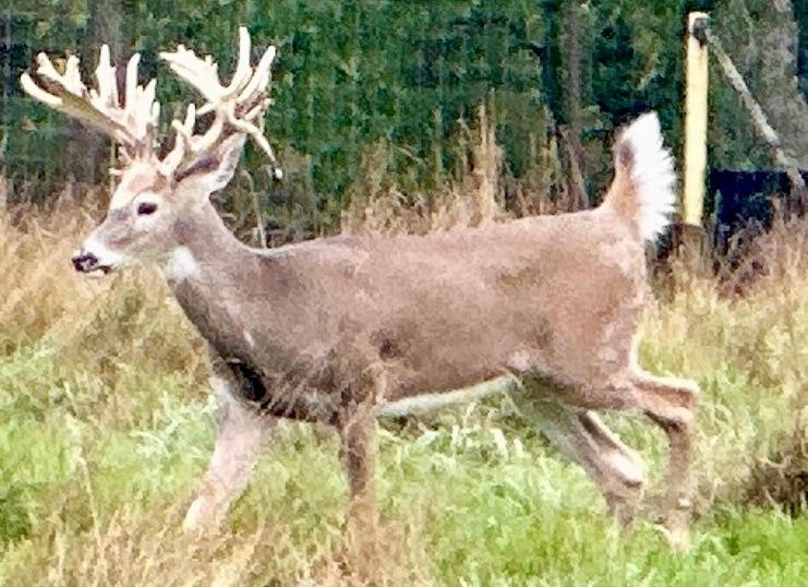 Lake Tomahawk, Wisconsin, 54487, United States, ,Residential,For Sale,1973874