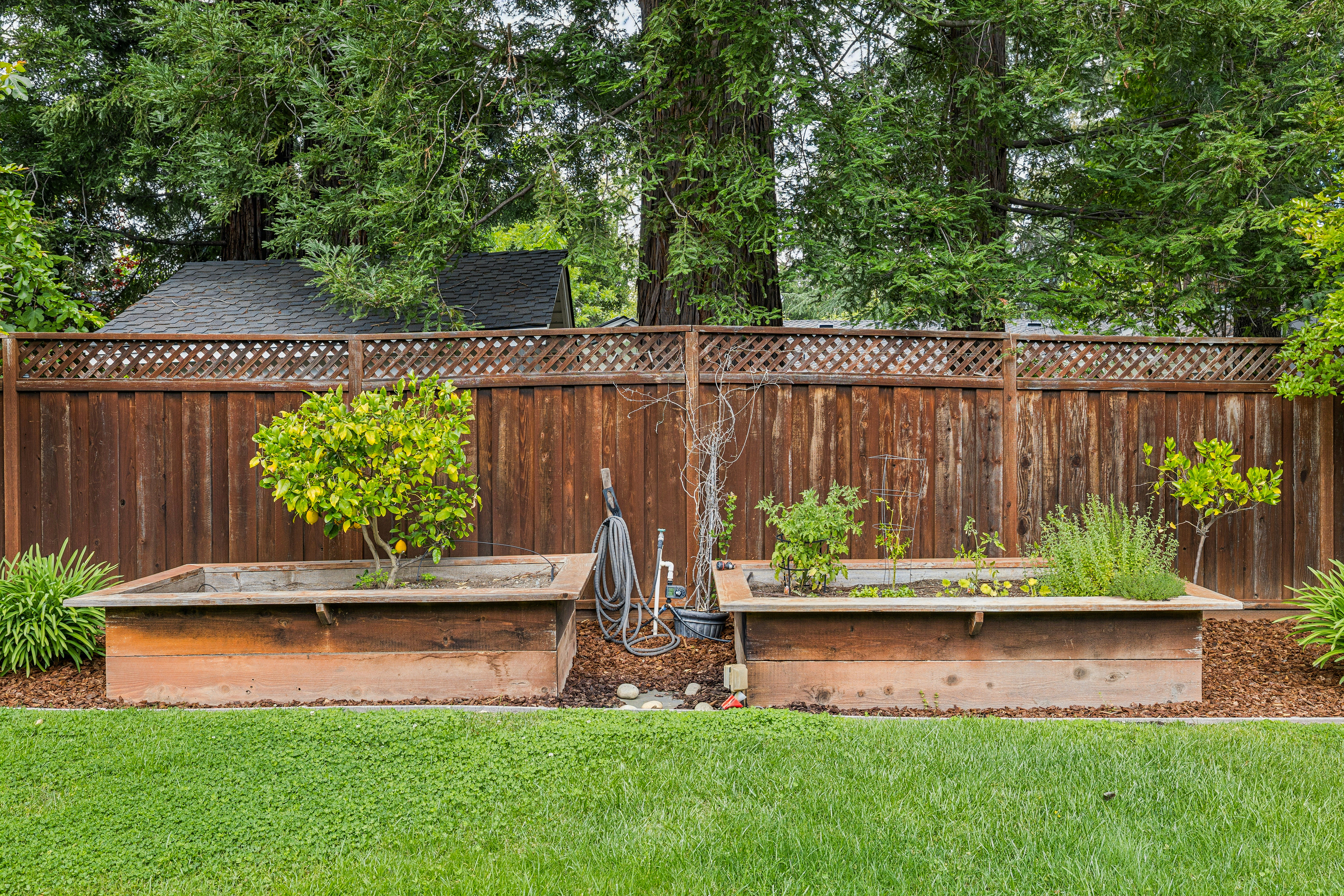  Stunning Authentic Los Gatos Adobe Hacienda - 物件實景