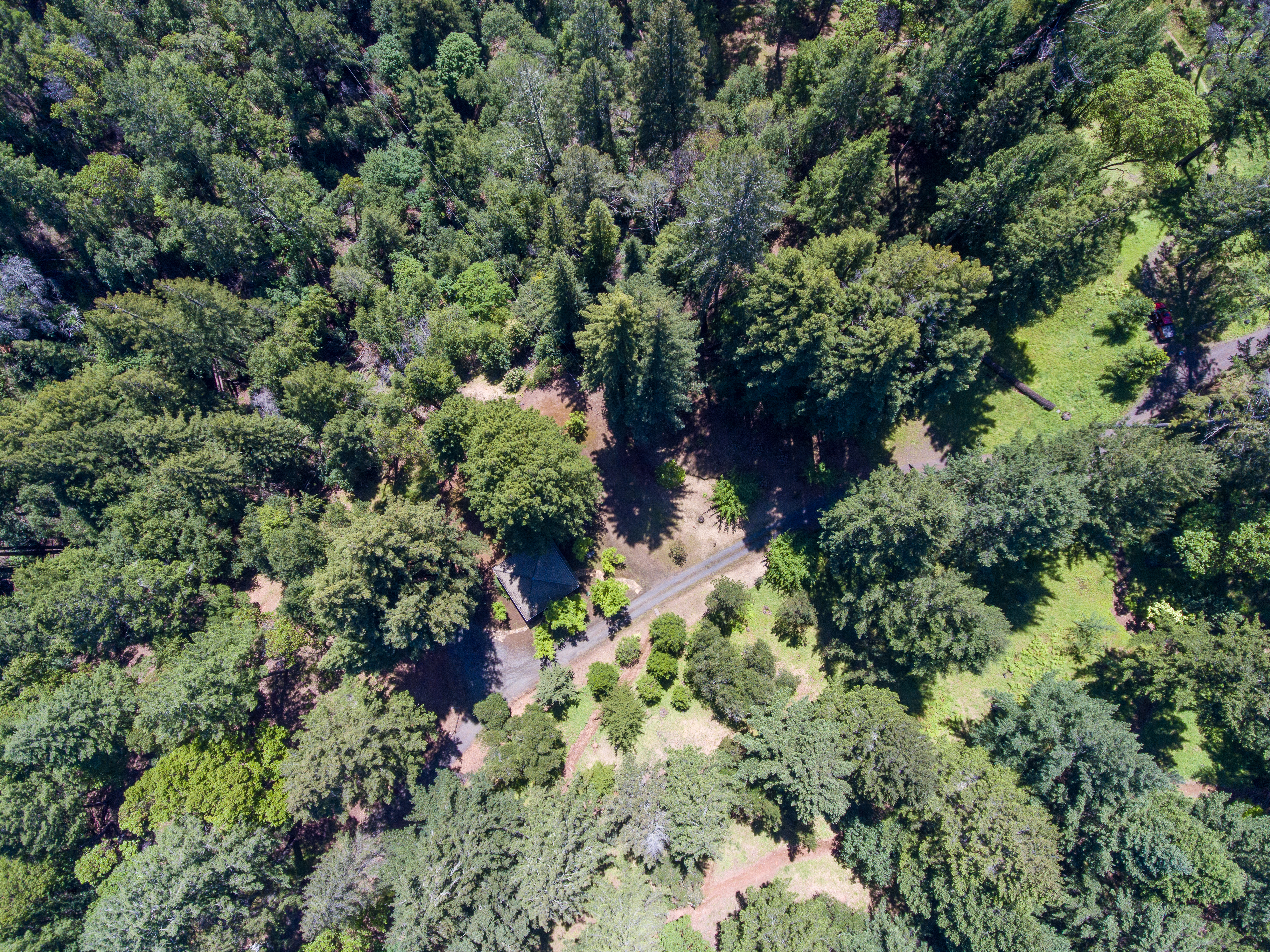  18900 Armstrong Woods Road, Guerneville, CA 95446 - 物件實景