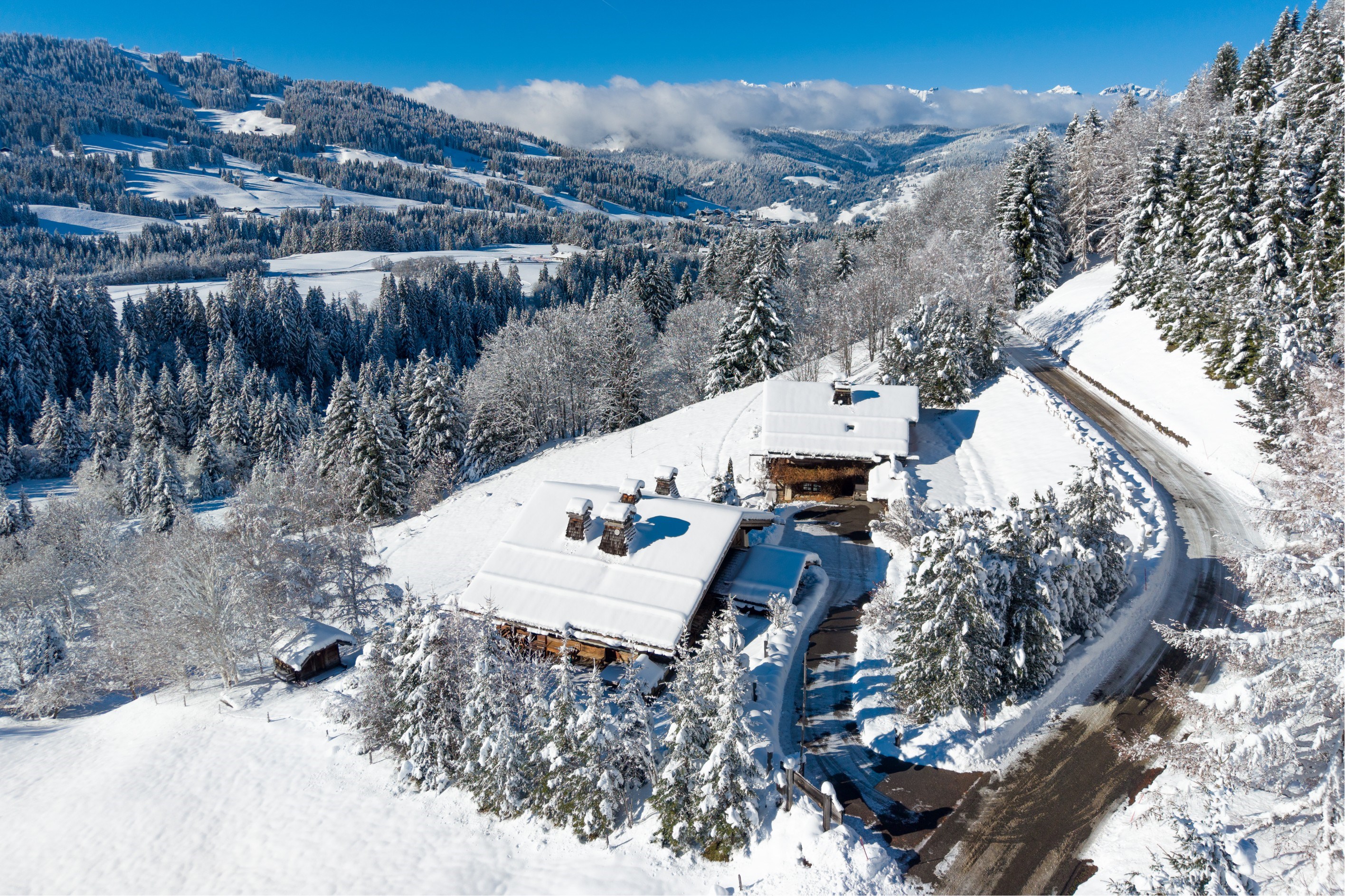  Domaine Épervier - Two connected chalets on a 20,000 m² plot - 物件實景