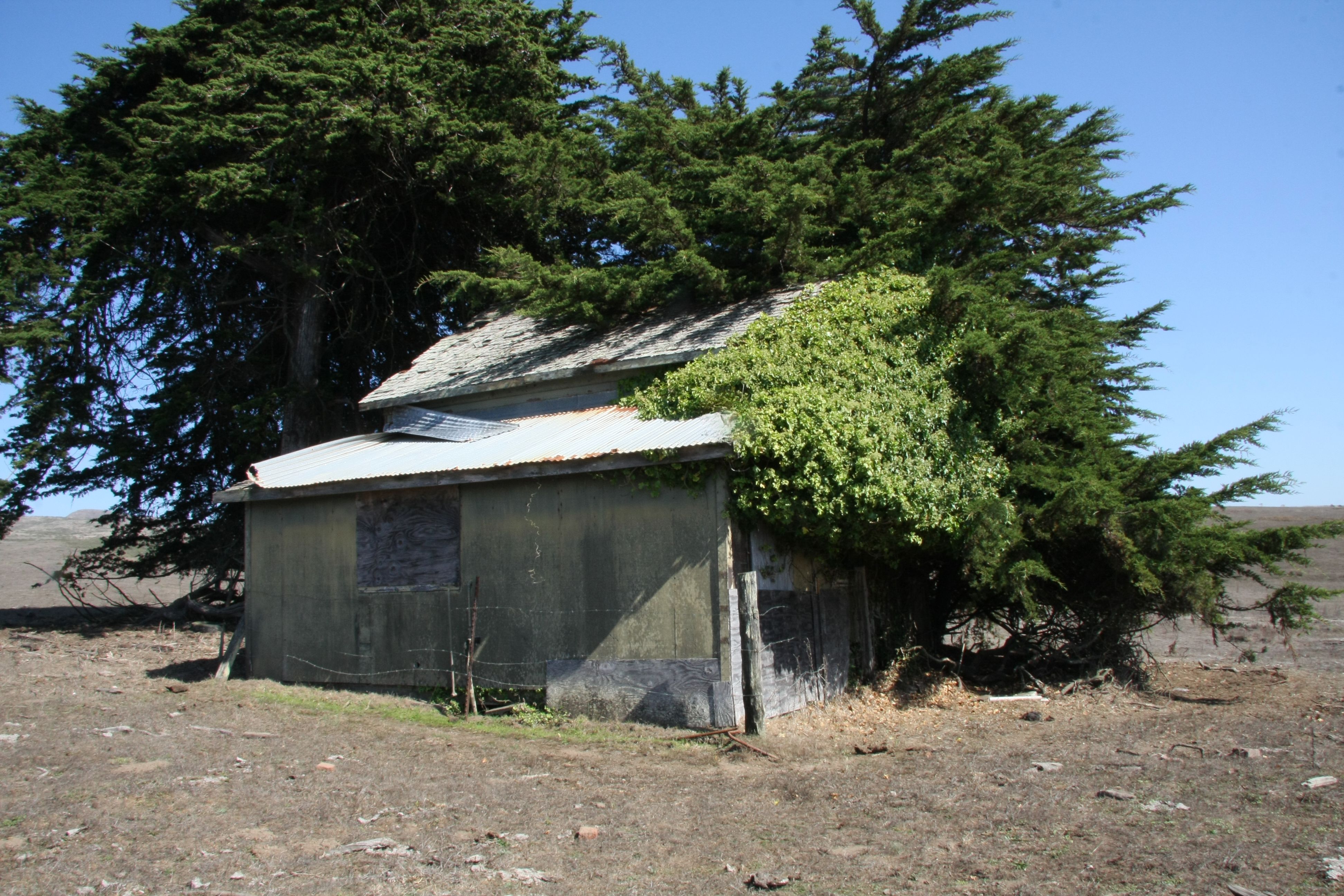  610 California 1, Bodega Bay, CA 94923 - 物件實景