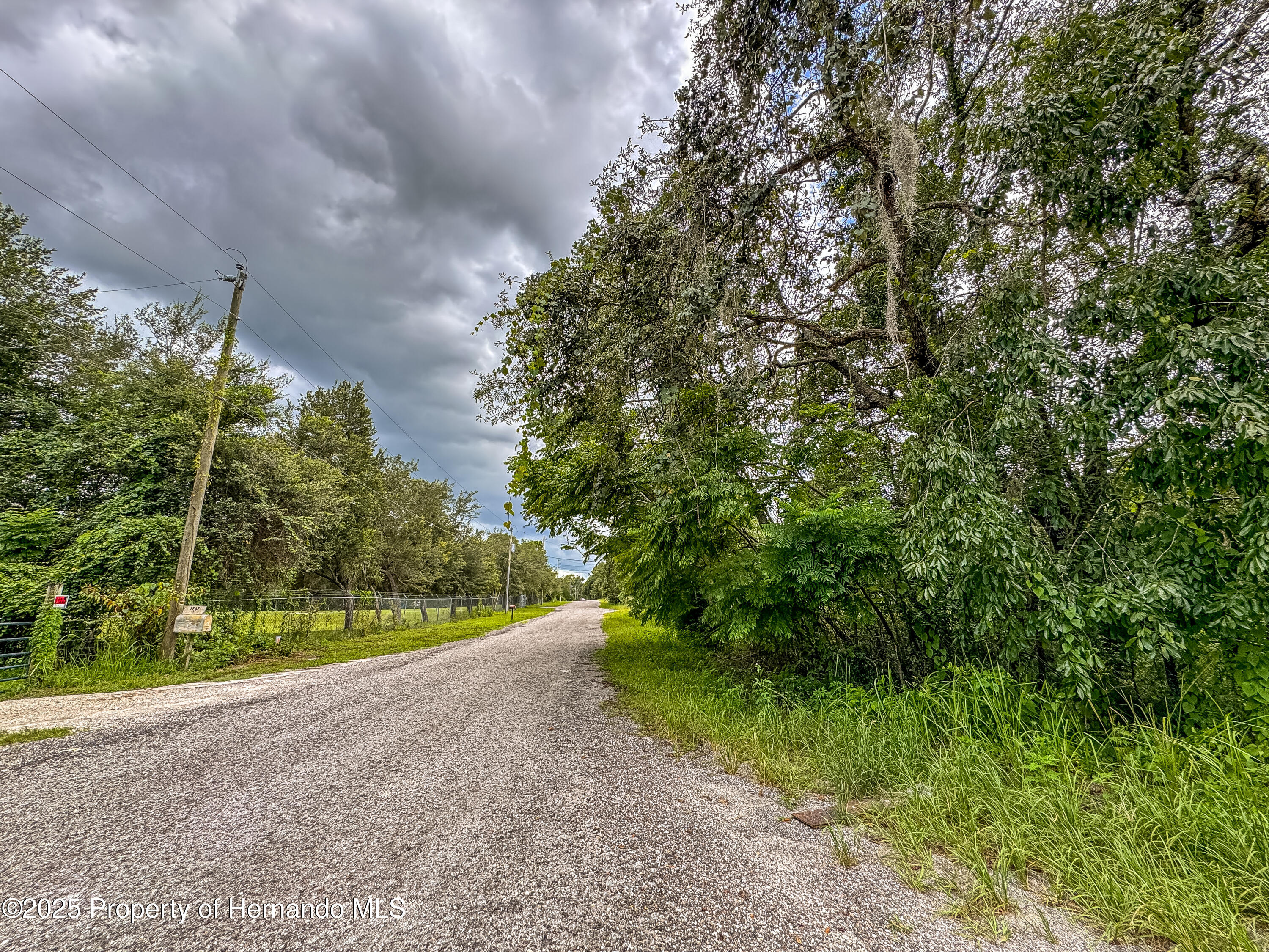 Brooksville, Florida, 34613, United States, ,Land,For Sale,2007460